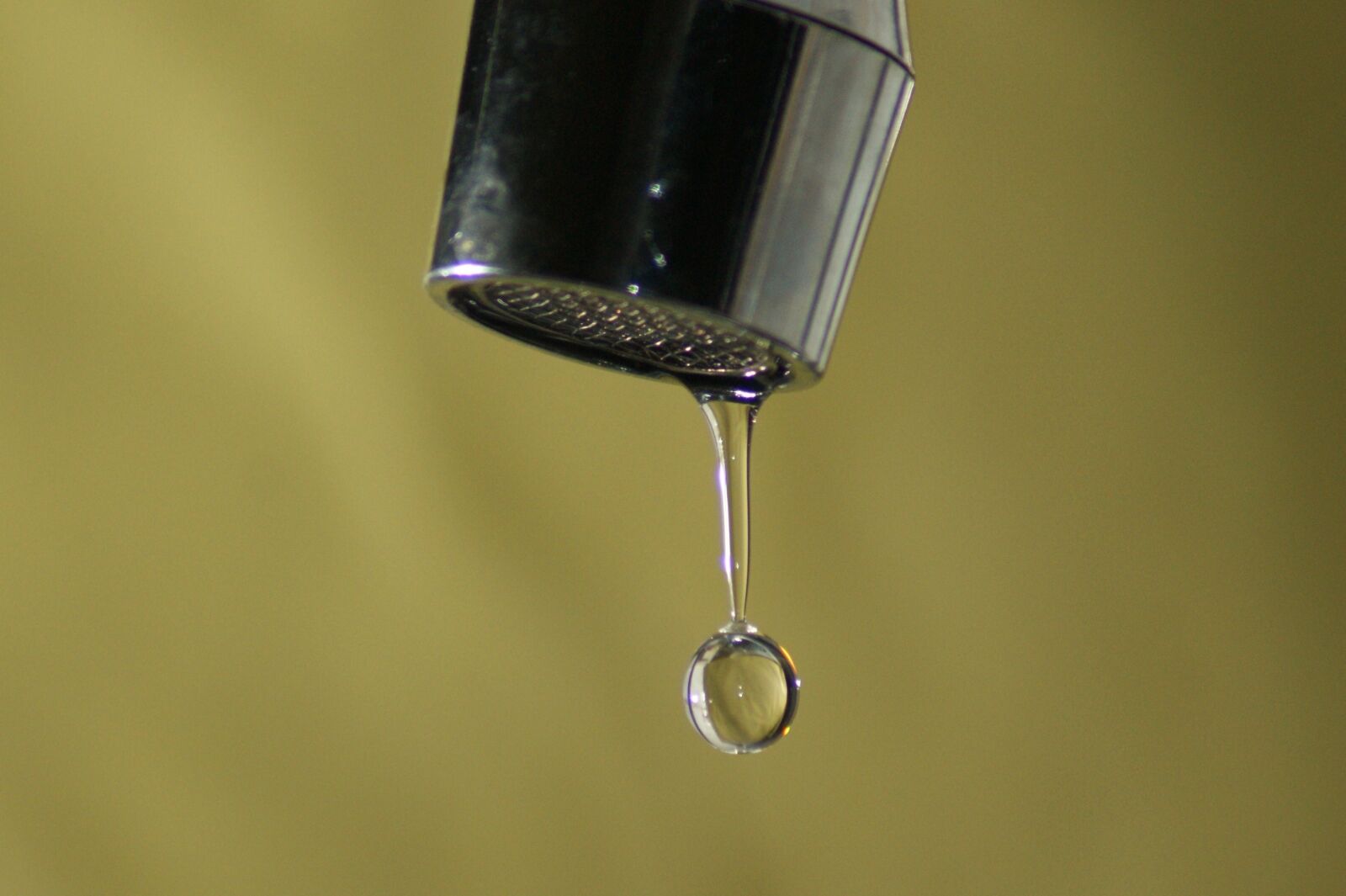 Sony Alpha DSLR-A390 sample photo. Fall, drop, of photography