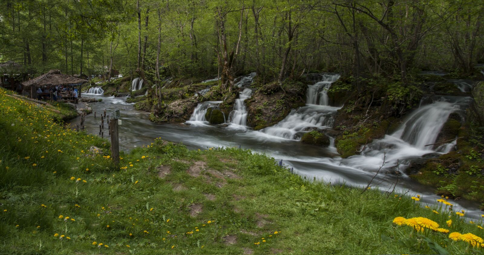 Nikon D300S sample photo. Nature, water, wood photography
