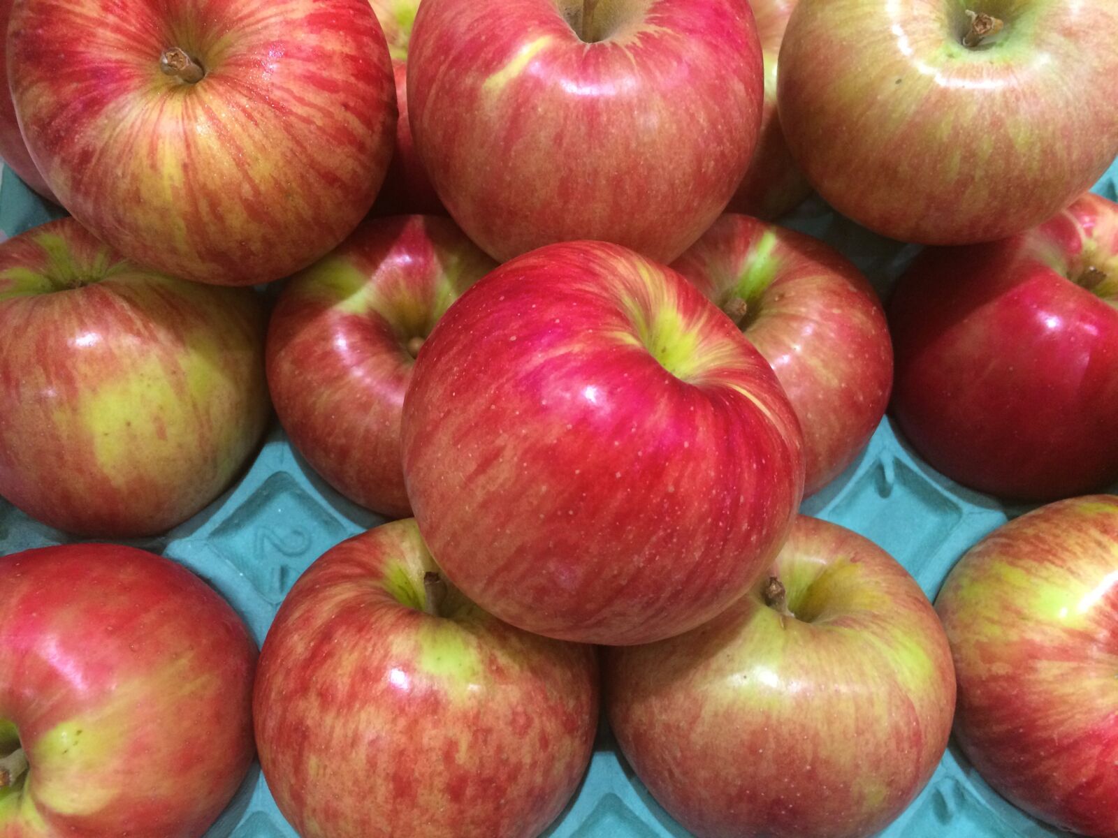 iPhone 5s back camera 4.15mm f/2.2 sample photo. Apple, fruit, red photography