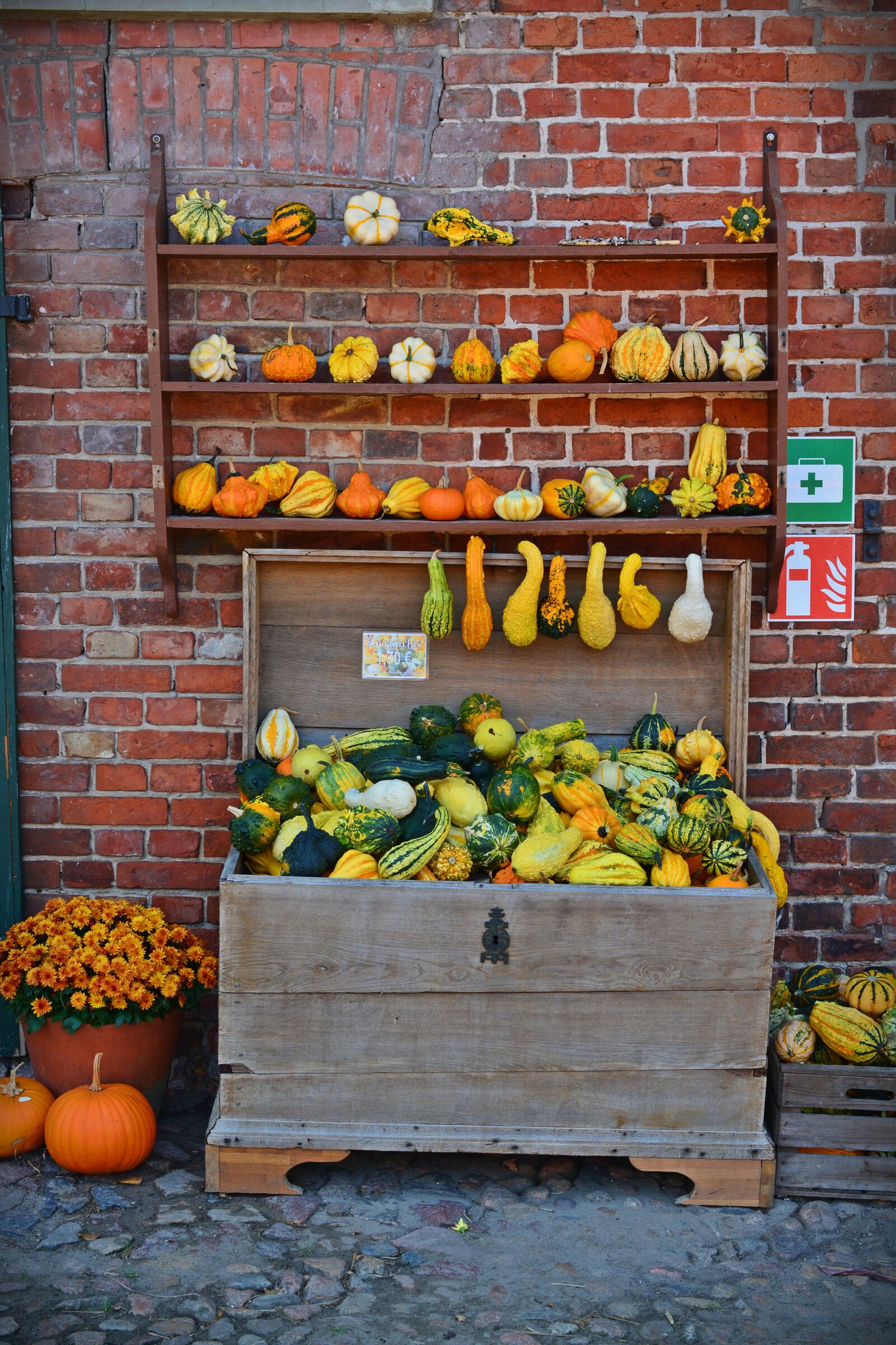Nikon D5200 sample photo. Pumpkin, harvest time, sale photography