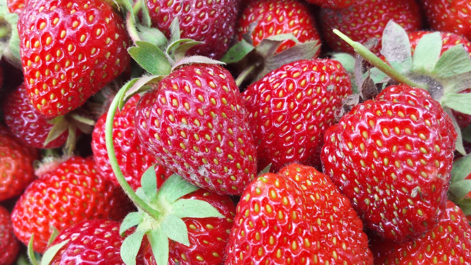 Samsung Galaxy S4 sample photo. Strawberry, berry, red berries photography