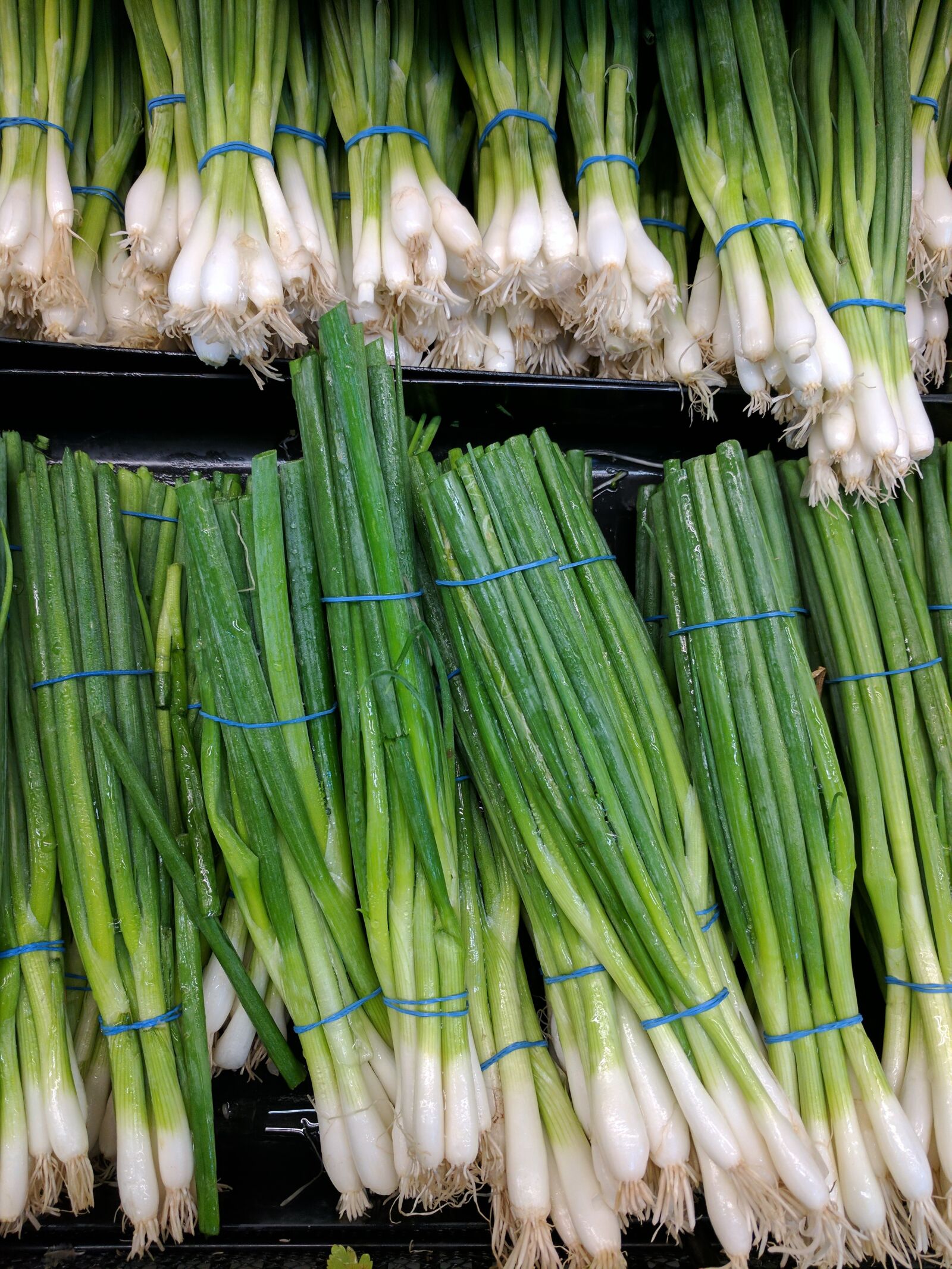 Google Pixel XL sample photo. Green onions, grocery store photography