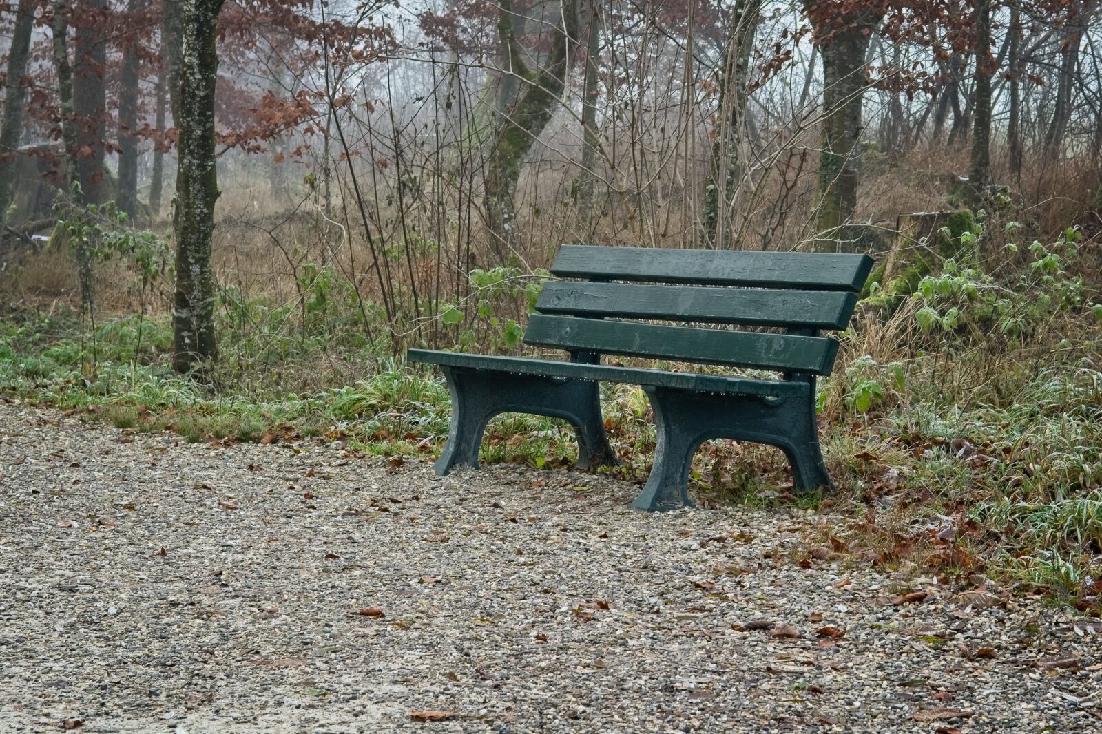 Nikon D7100 sample photo. Fog, foggy, seat photography