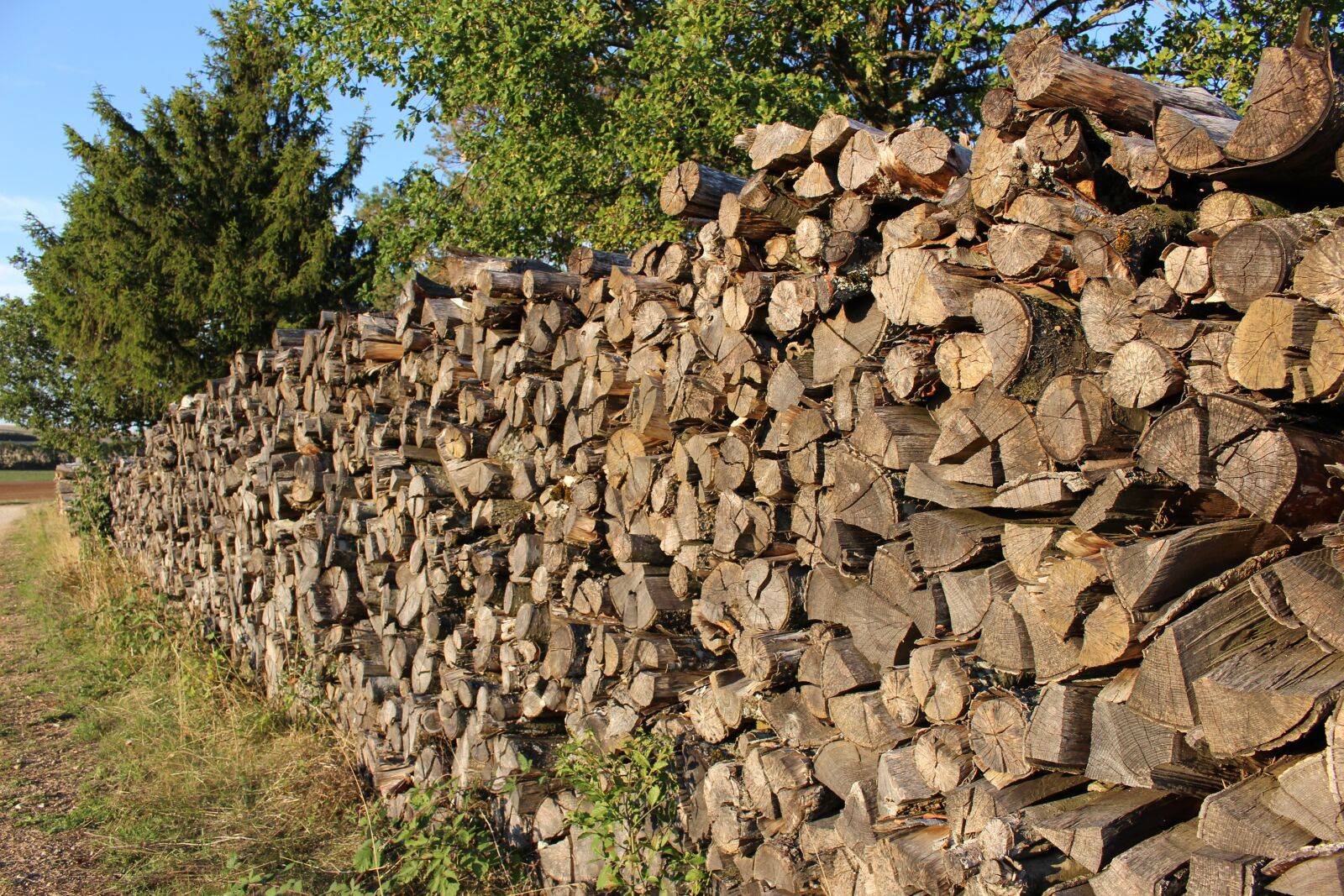 Canon EOS 100D (EOS Rebel SL1 / EOS Kiss X7) sample photo. Wood, woodpile, heating photography