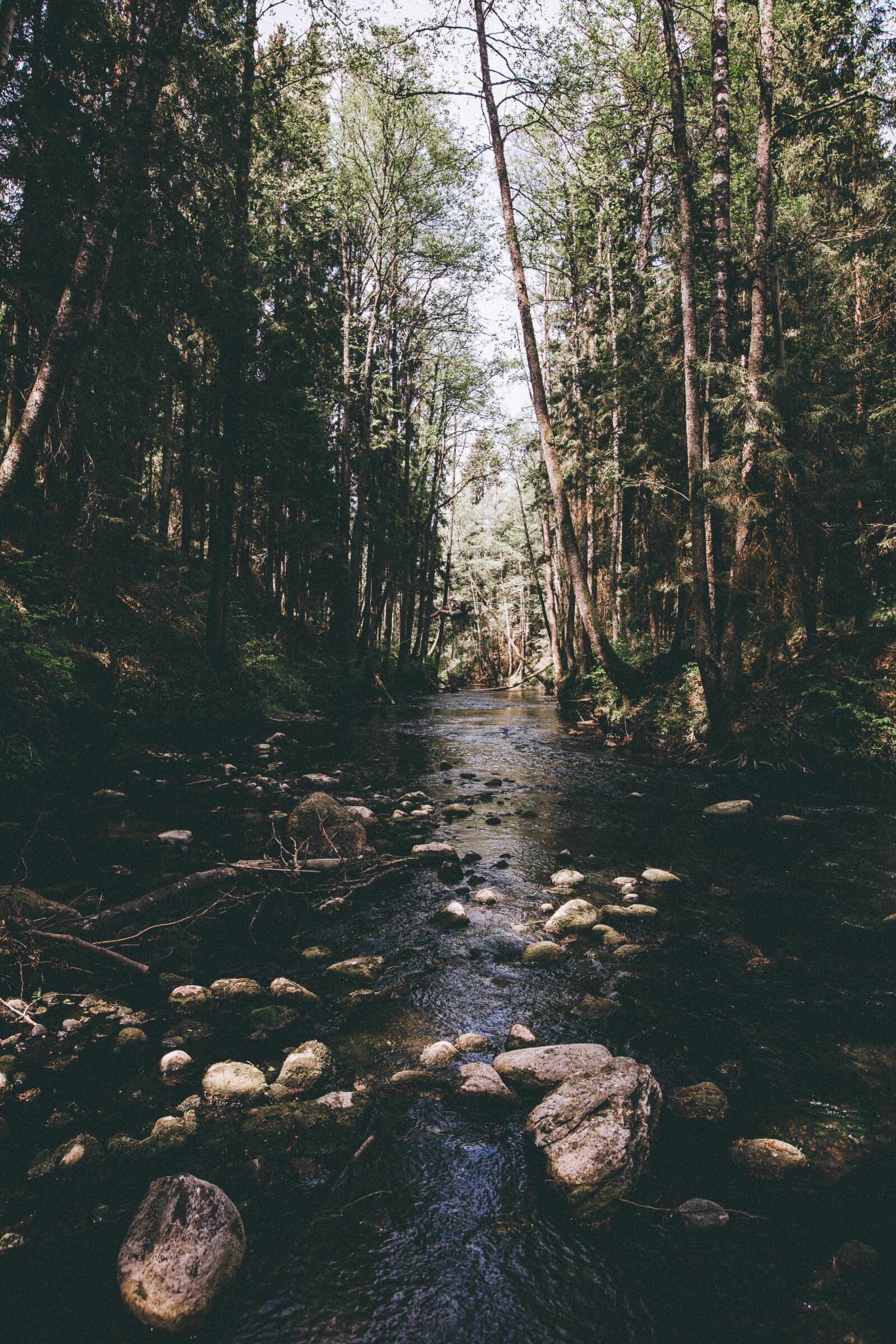 Canon EOS 6D + Canon EF 16-35mm F2.8L II USM sample photo. Forest, nature, river photography