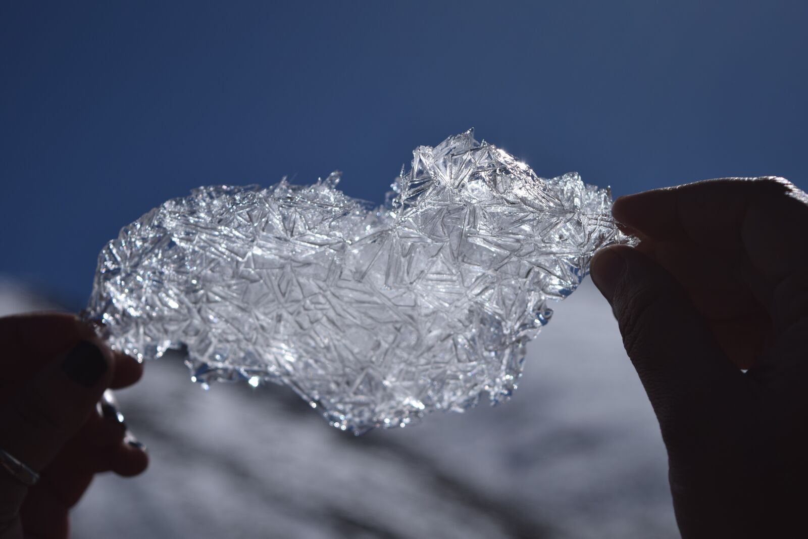 Nikon D3300 sample photo. Ice, crystal, frost photography
