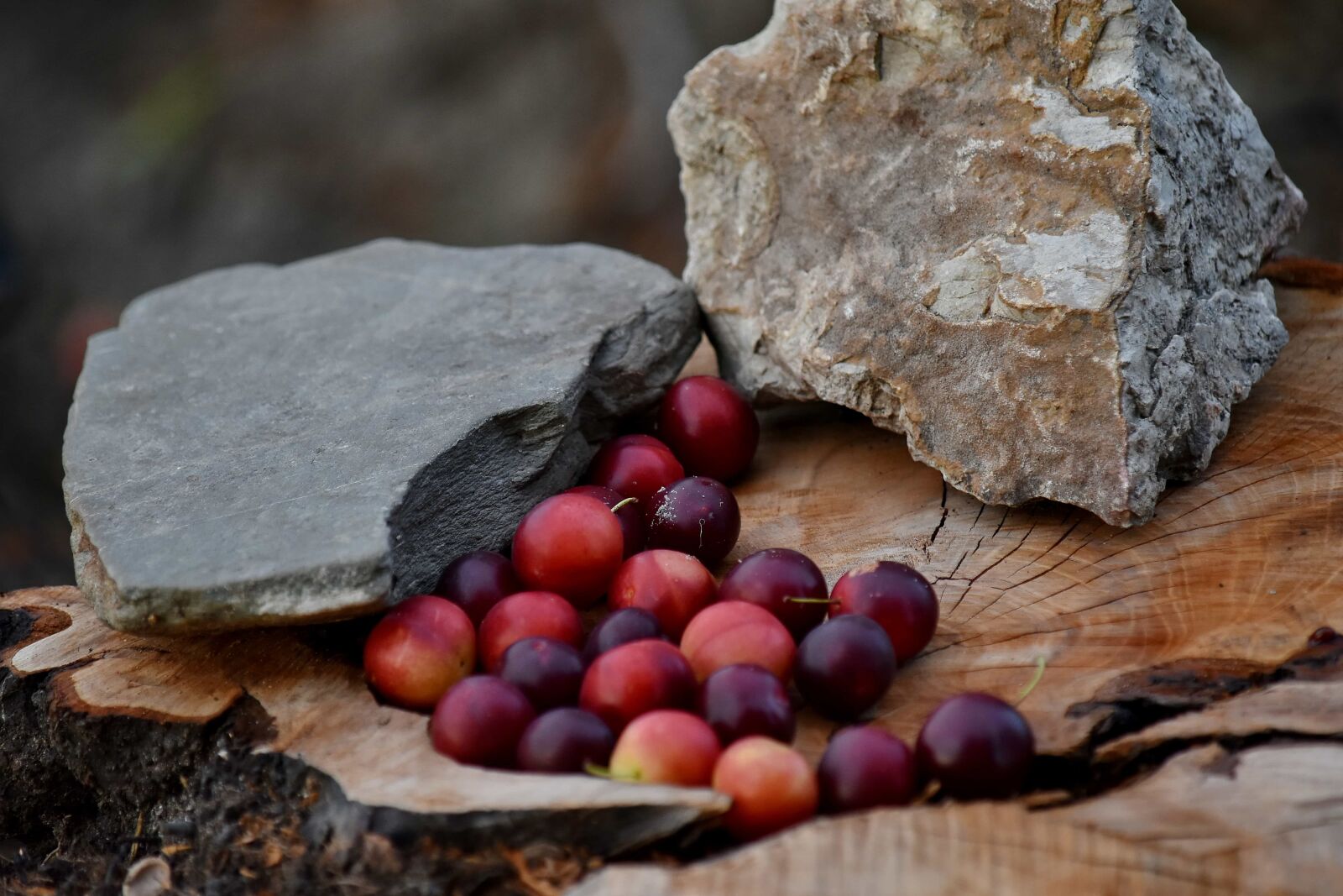 Nikon D5500 sample photo. Big rocks, fruit, still photography