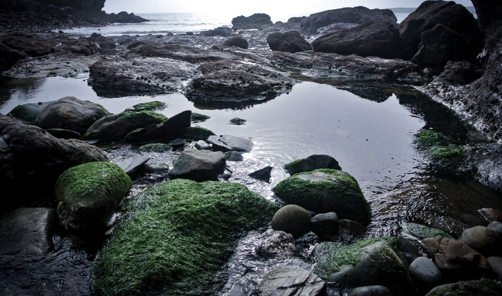Nikon 1 J1 sample photo. Algae, beach, cornwall, moss photography