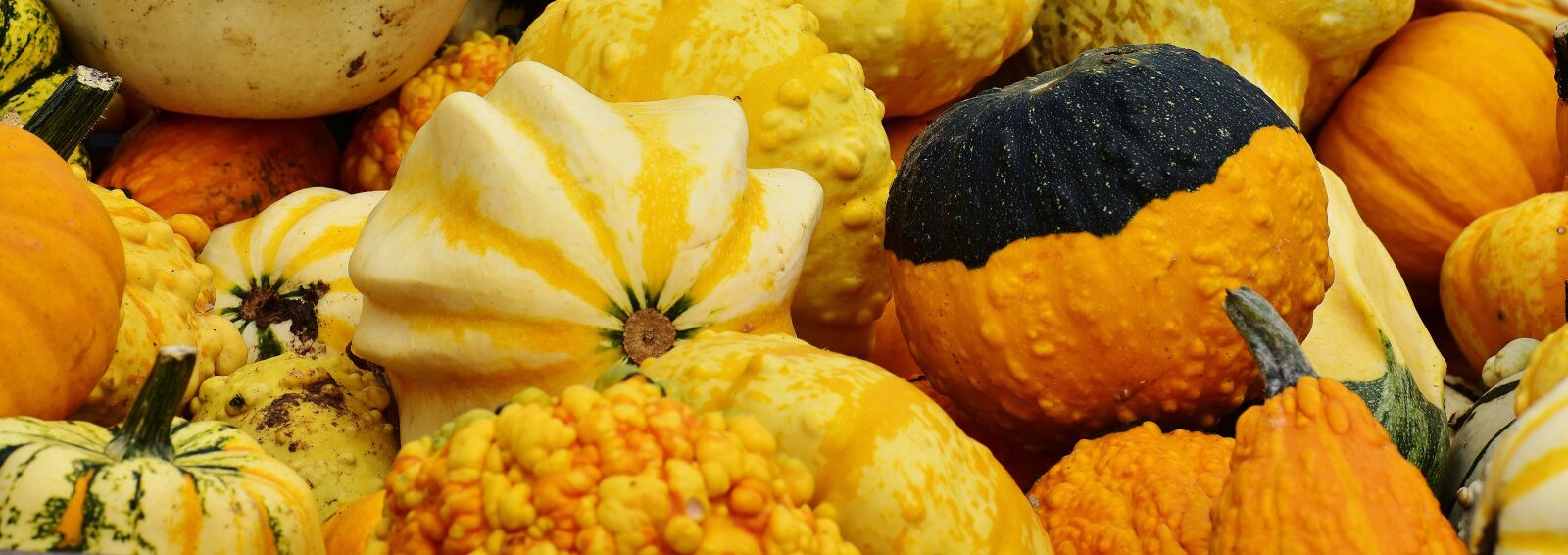 Nikon D7200 sample photo. Pumpkins, autumn, autumn decoration photography