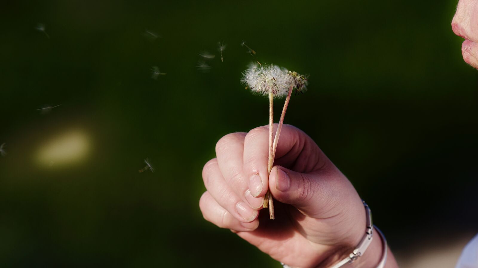 Nikon D810 sample photo. Nature, outdoors photography