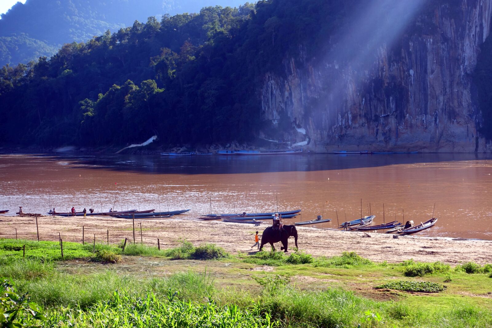 Sony Cyber-shot DSC-RX100 IV sample photo. Elephant, river, asia photography