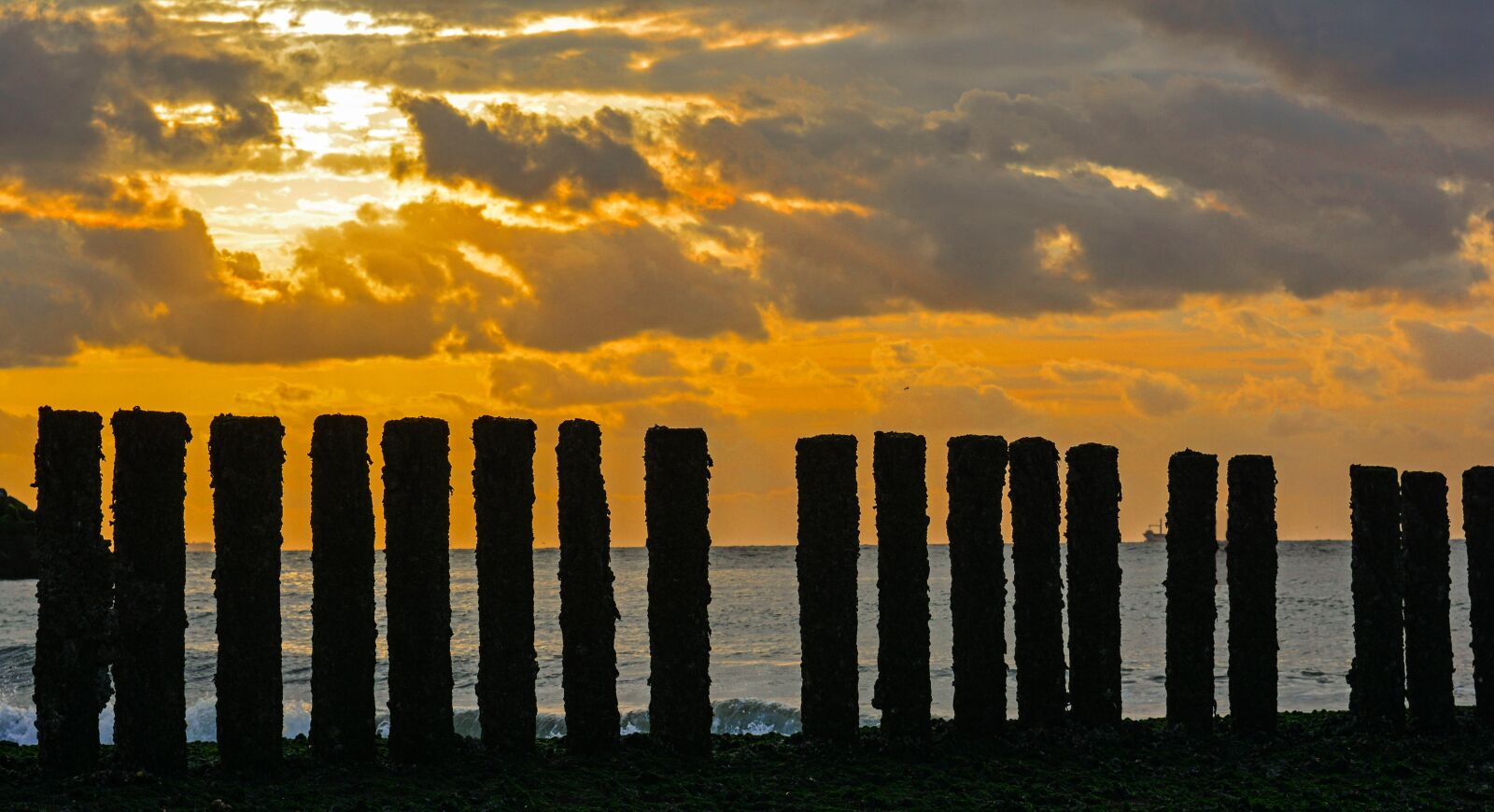 Nikon D5200 sample photo. North sea, beach, sea photography