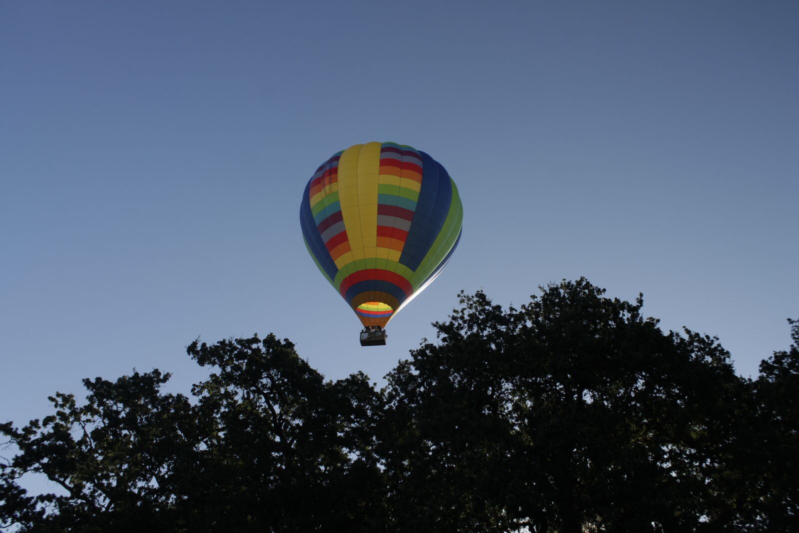 Canon EOS 1100D (EOS Rebel T3 / EOS Kiss X50) sample photo. Balloons, california, air photography