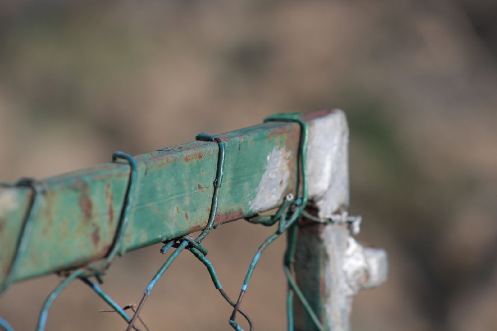 Canon EF75-300mm f/4-5.6 sample photo. Rusty, steel, green photography