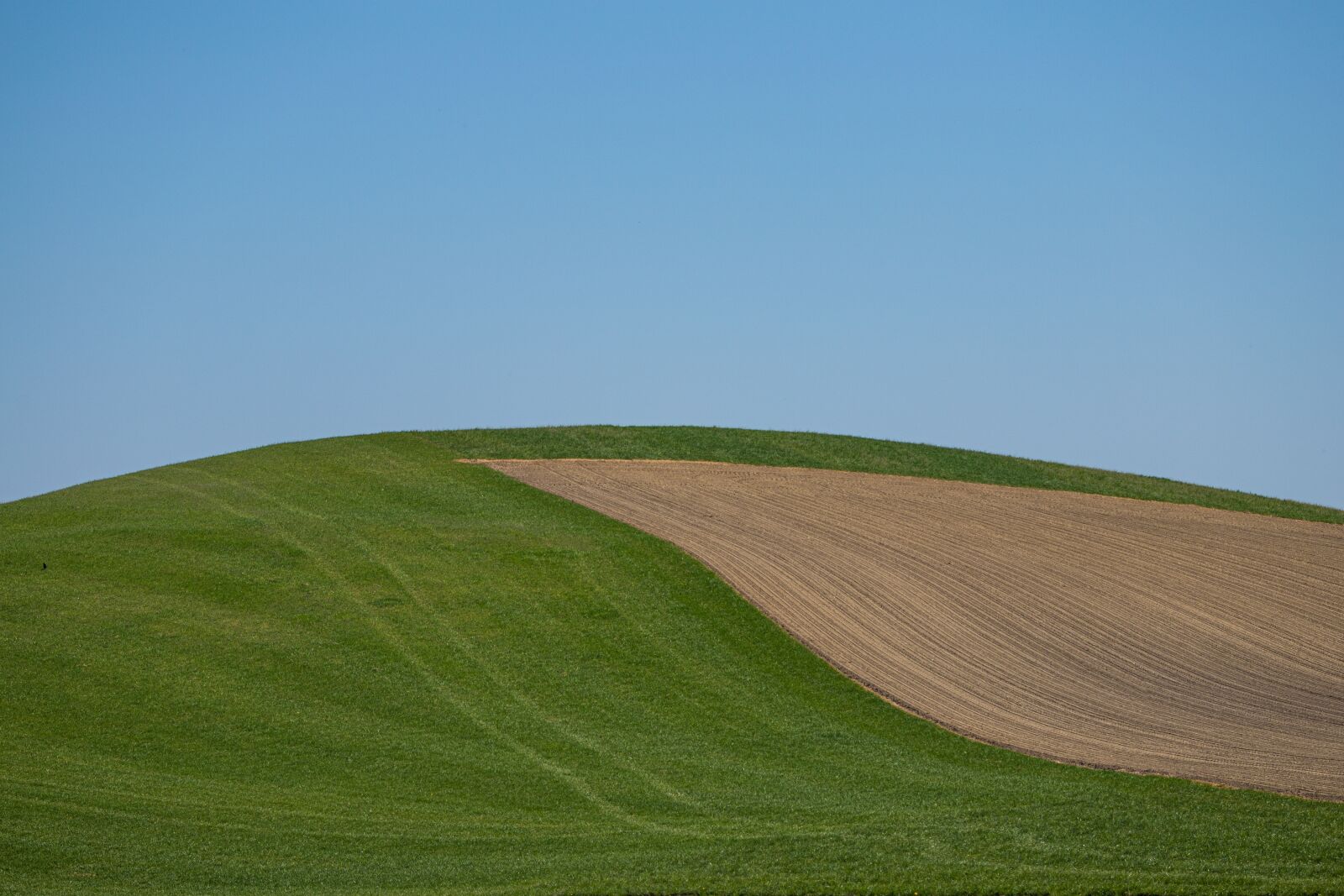 Canon EOS 6D Mark II sample photo. Hill, field, nature photography