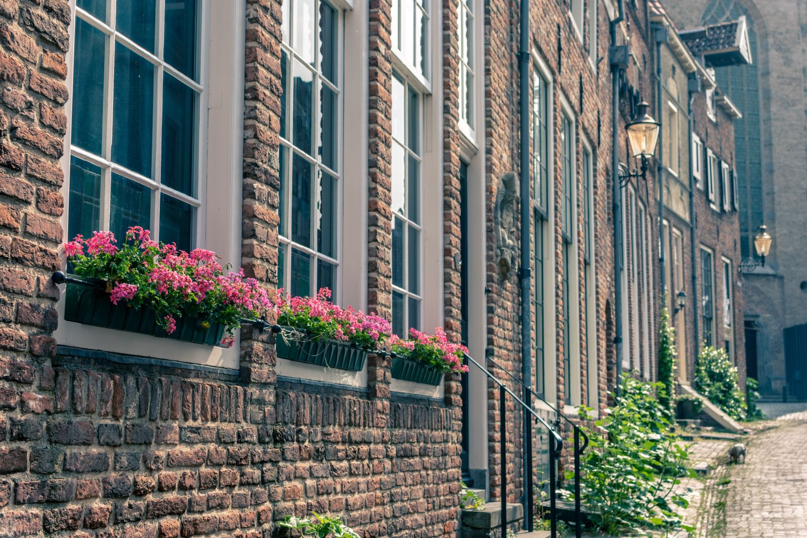 Nikon D7200 sample photo. City, facade, alley photography