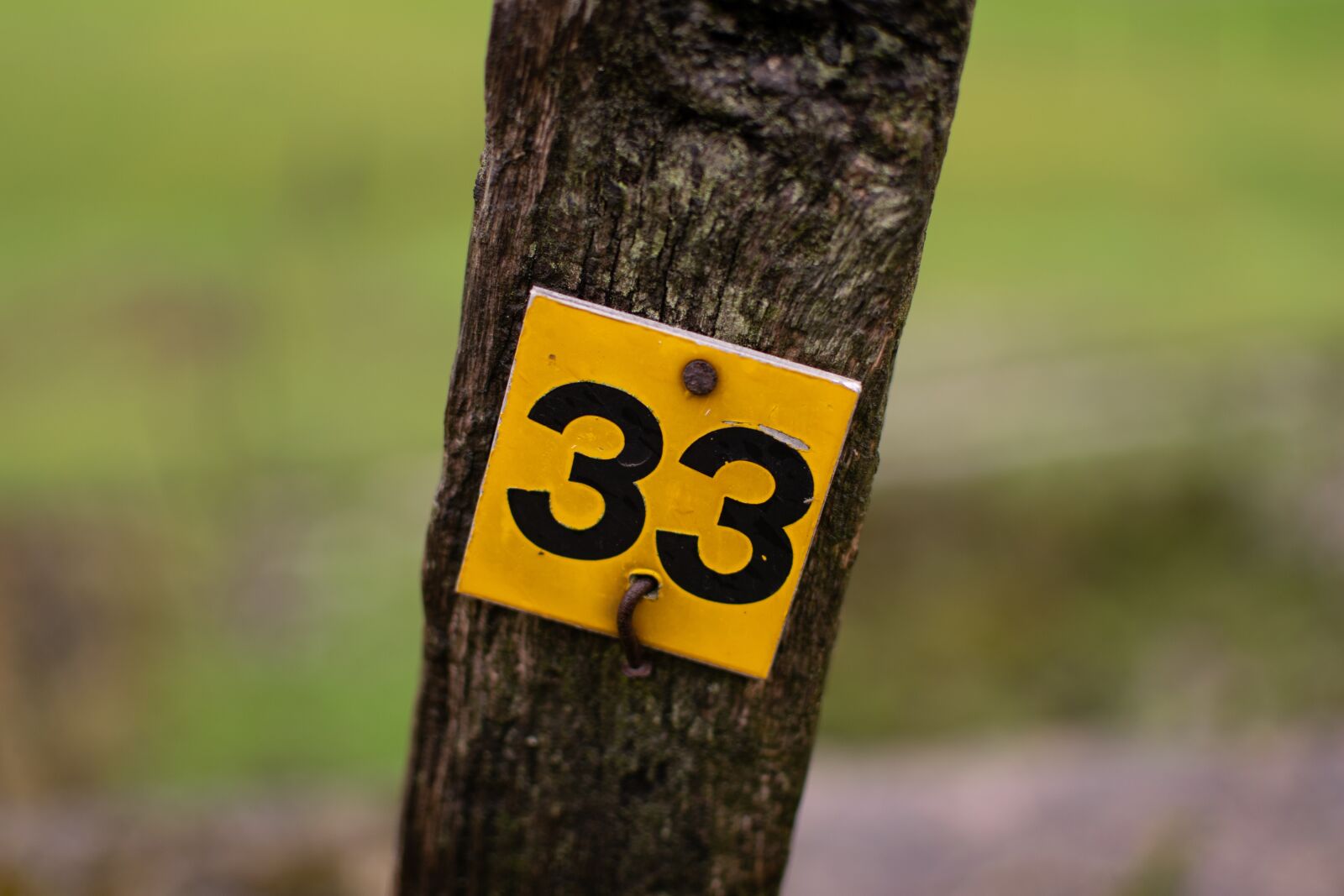 Nikon D3300 sample photo. Number, 33, post photography