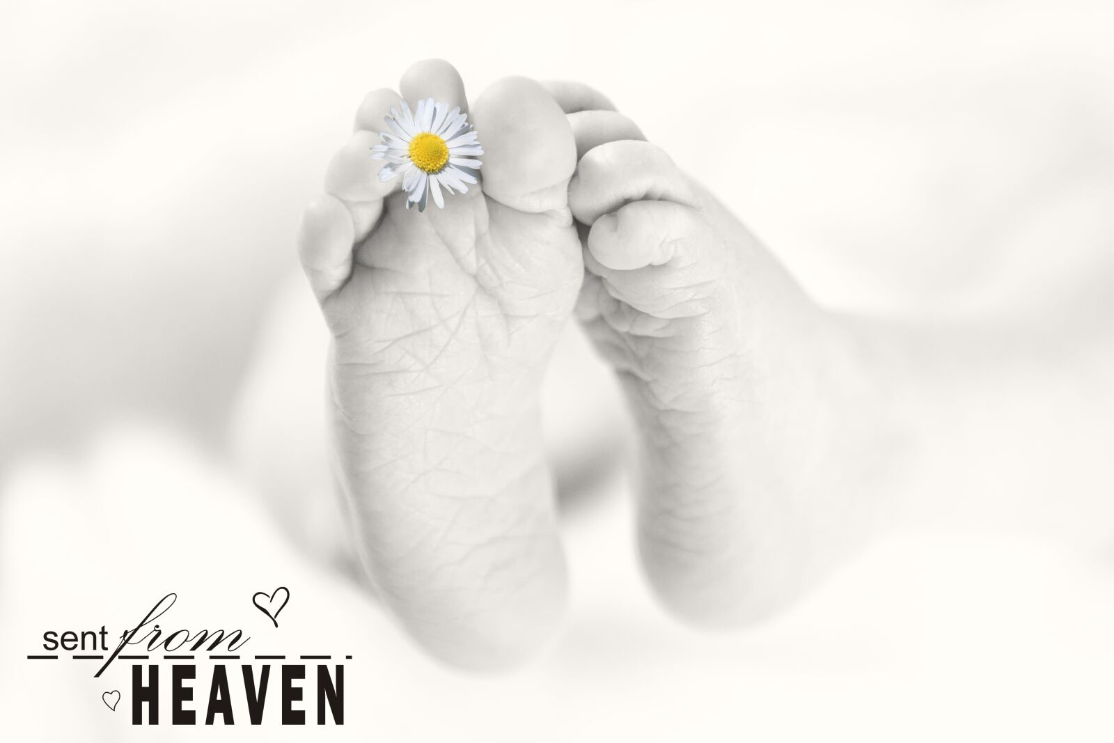 Canon EOS 6D sample photo. Baby feet, baby, feet photography
