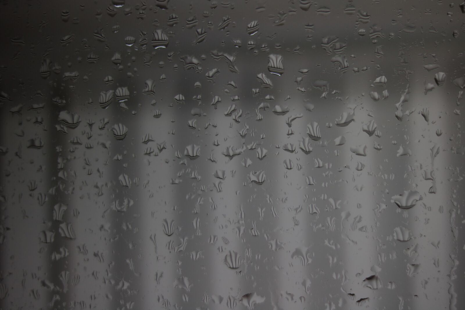 Canon EOS 750D (EOS Rebel T6i / EOS Kiss X8i) sample photo. Raindrops, water, monochrome photography