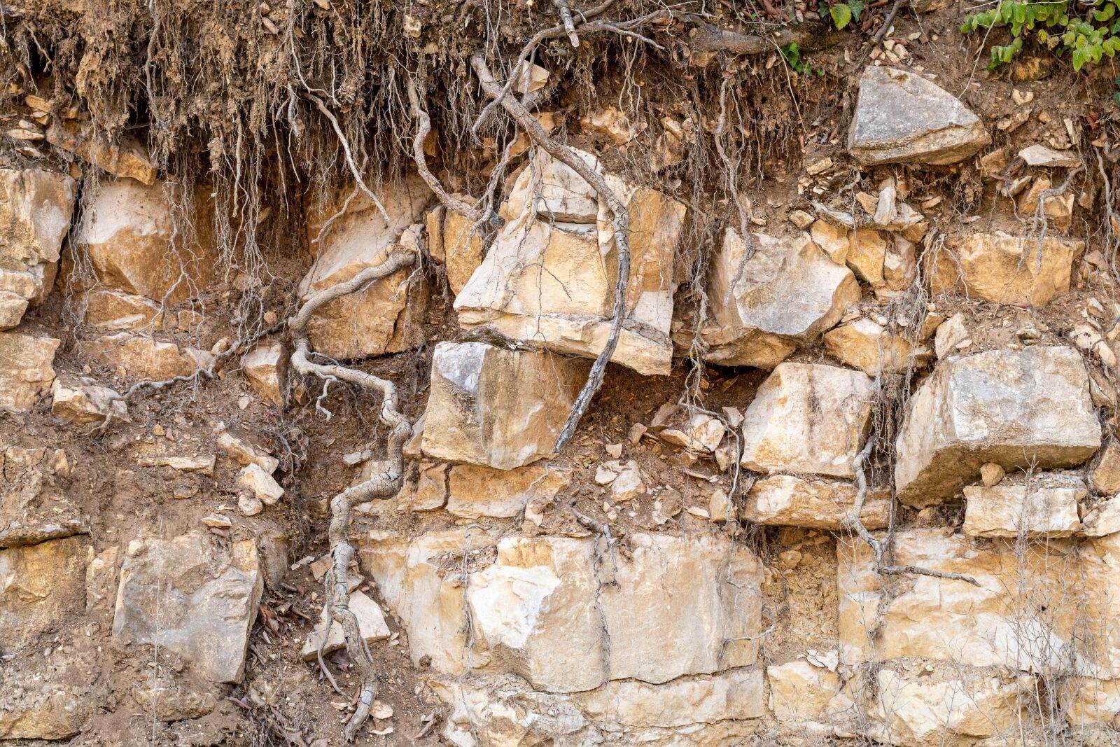 Nikon D5600 sample photo. Stones, wall, structure photography