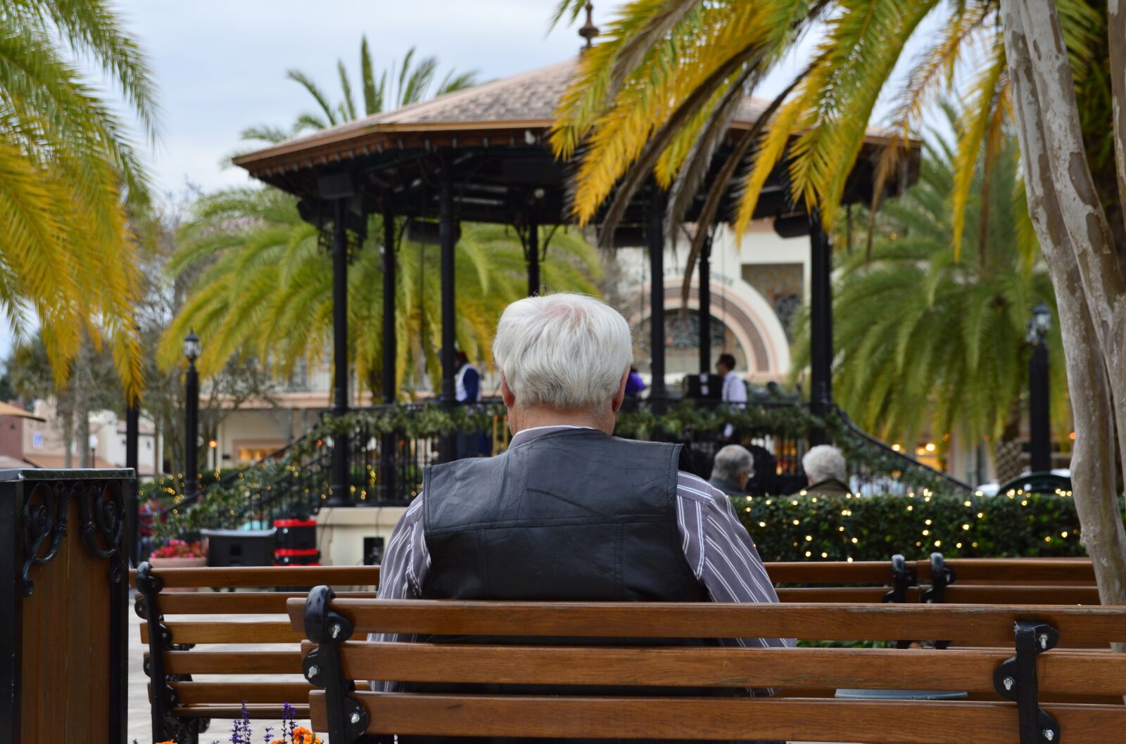 Nikon D3200 sample photo. Elderly, retirement, man photography