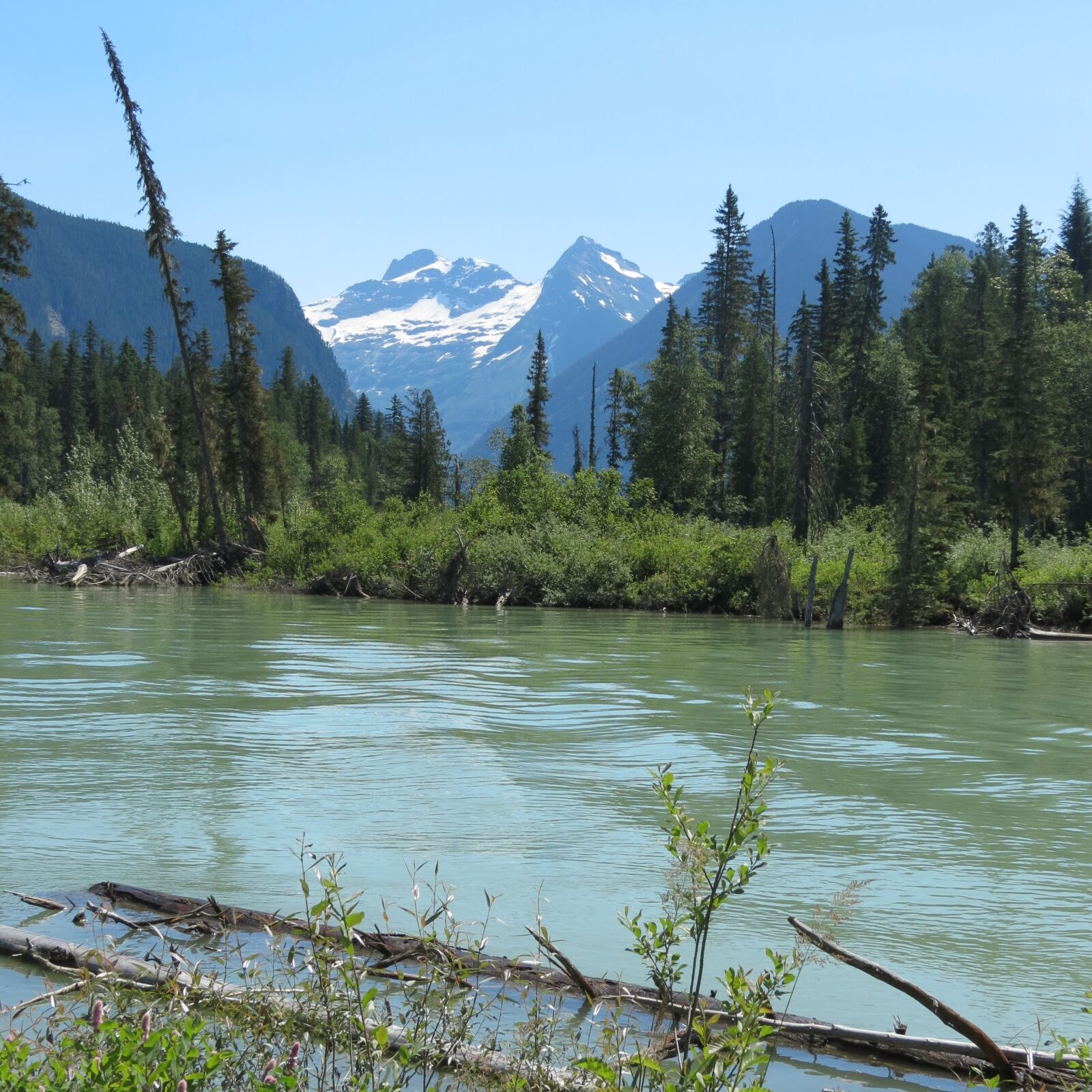 Canon PowerShot SX40 HS sample photo. Canada, wells gray, brook photography