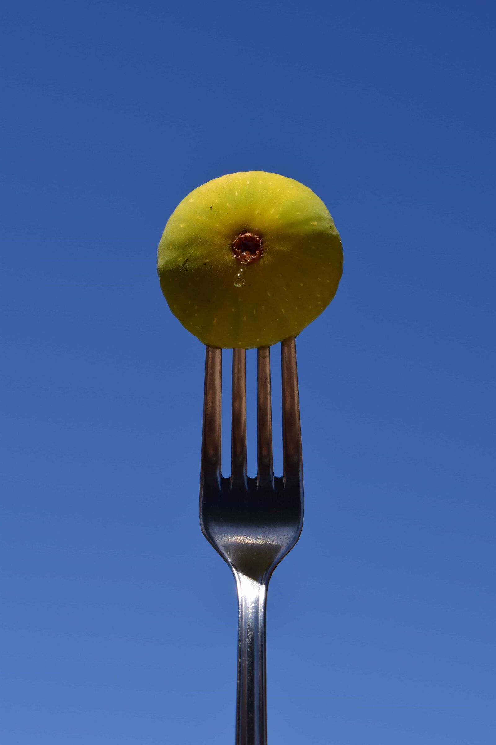 Nikon D3300 sample photo. Fork, metal, tableware, cutlery photography
