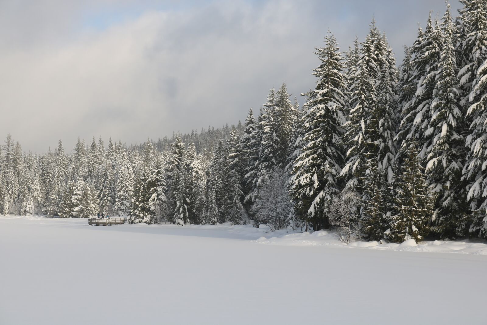 Canon EOS 750D (EOS Rebel T6i / EOS Kiss X8i) sample photo. Trillium lake, oregon lake photography