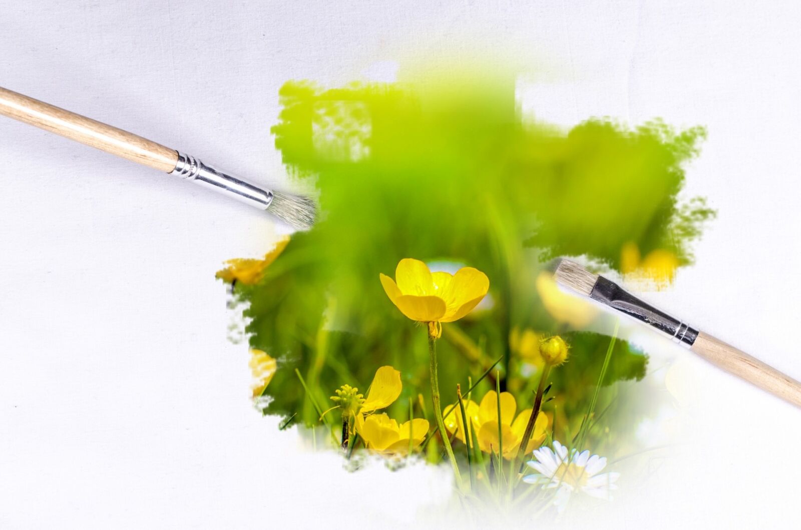 Nikon D5100 sample photo. Abstract, brush, canvas, card photography