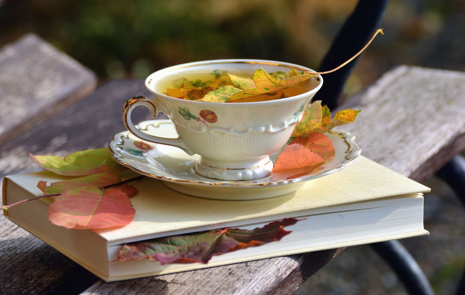 Nikon D5200 sample photo. Book, tea, pottery, leaf photography