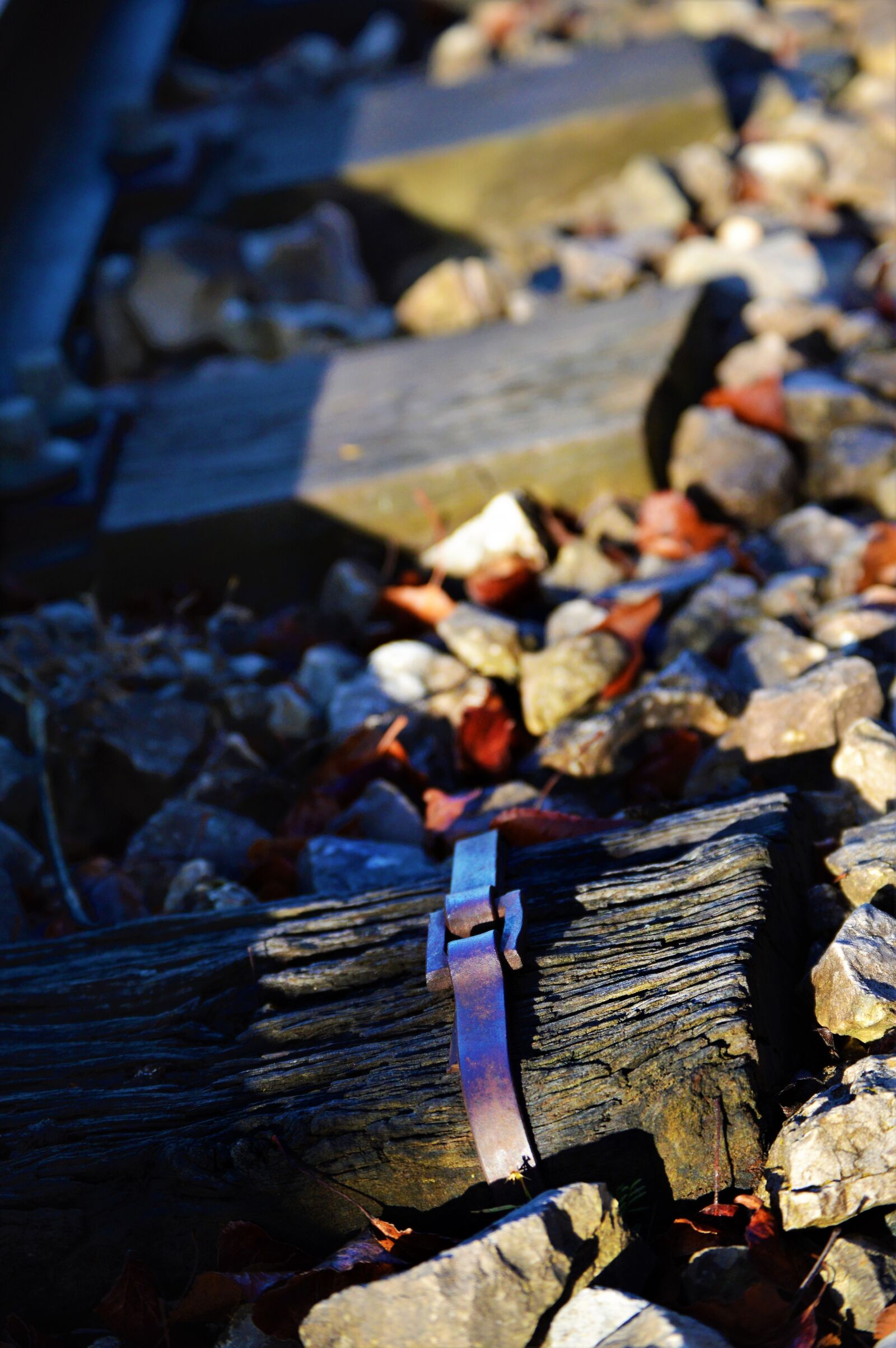 Nikon D3200 sample photo. Train tracks, abandoned, iron photography