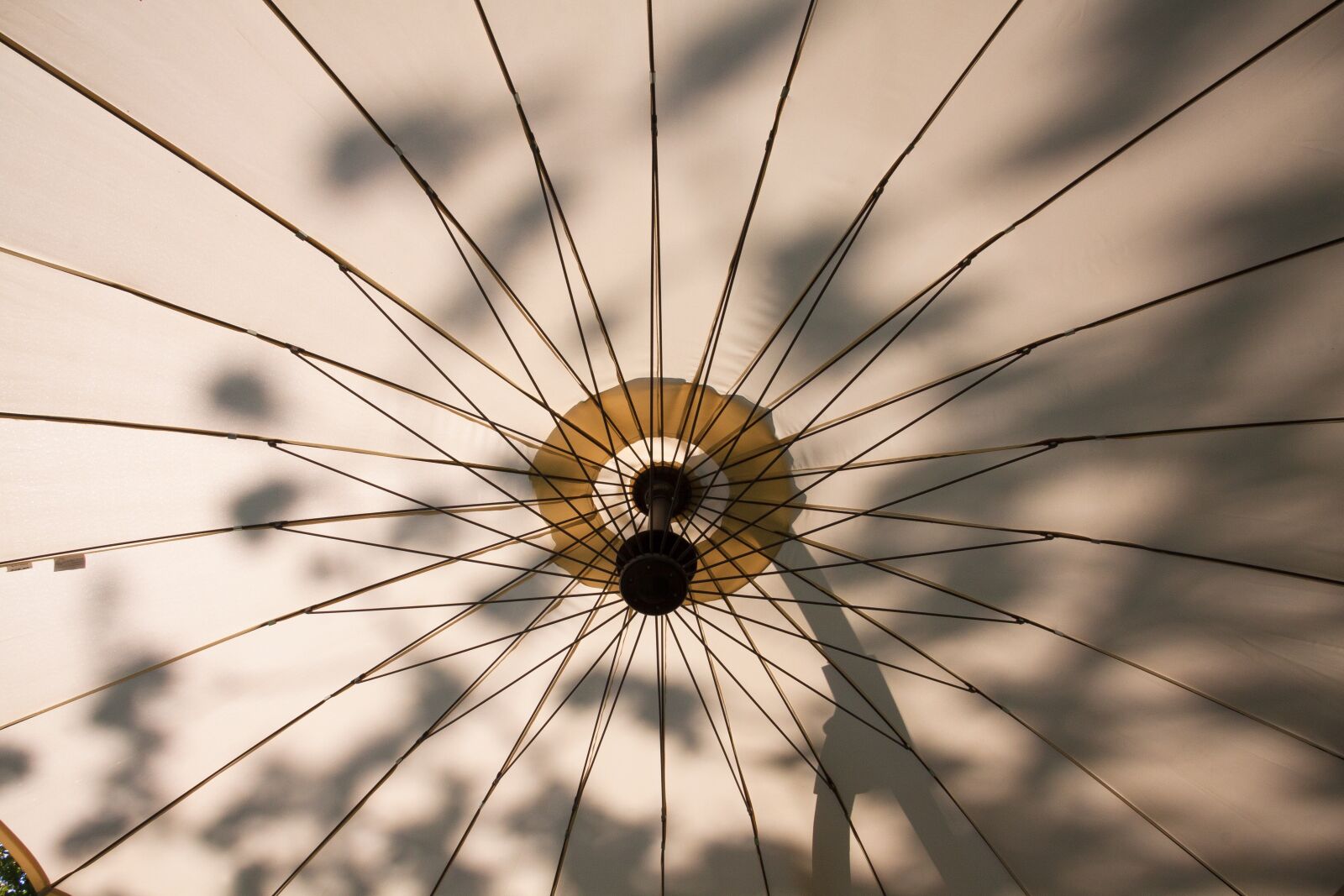 Canon EF-S 17-85mm F4-5.6 IS USM sample photo. Parasol, screen, sun photography