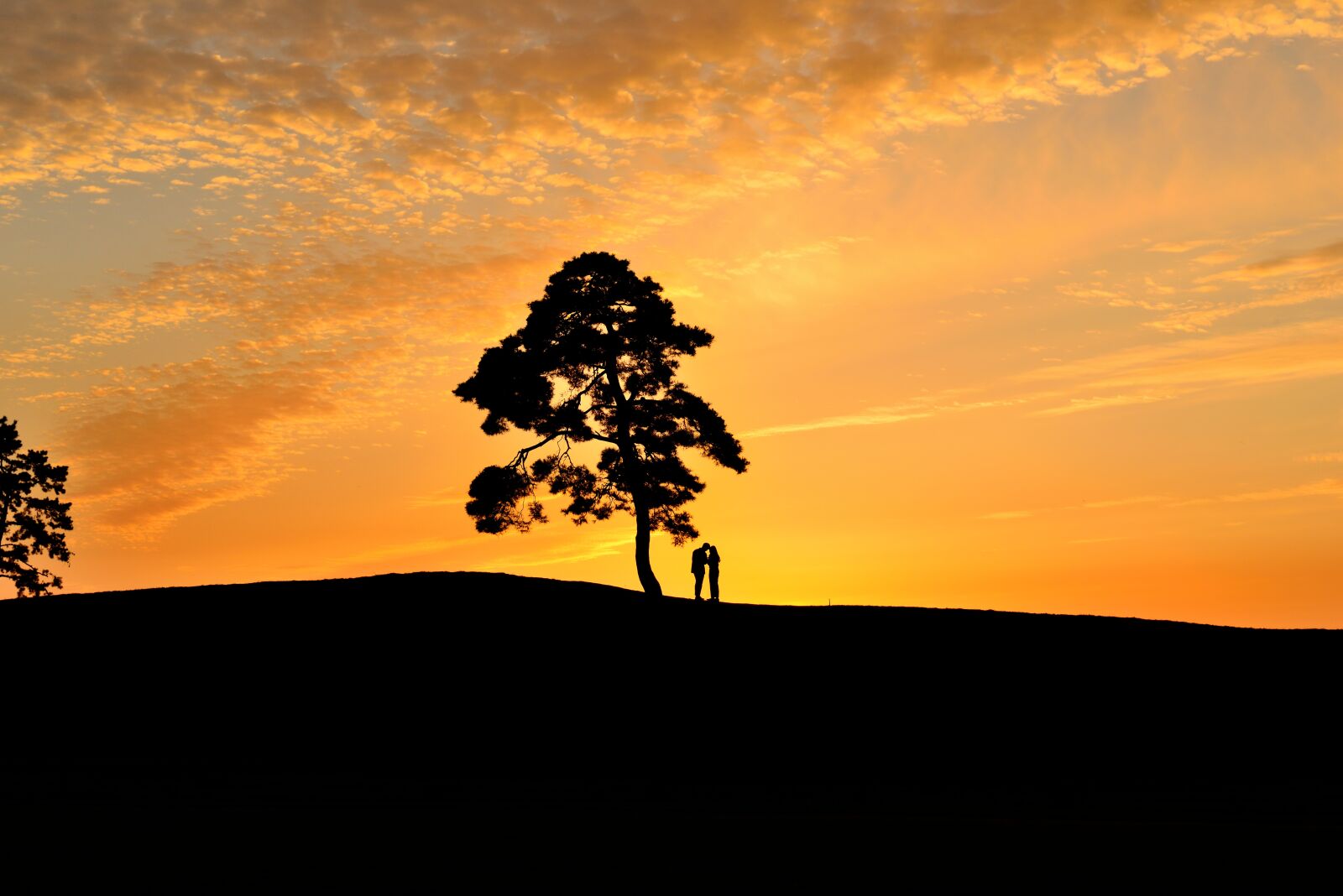 Nikon D800 sample photo. Sunset, sunrise, silhouette photography