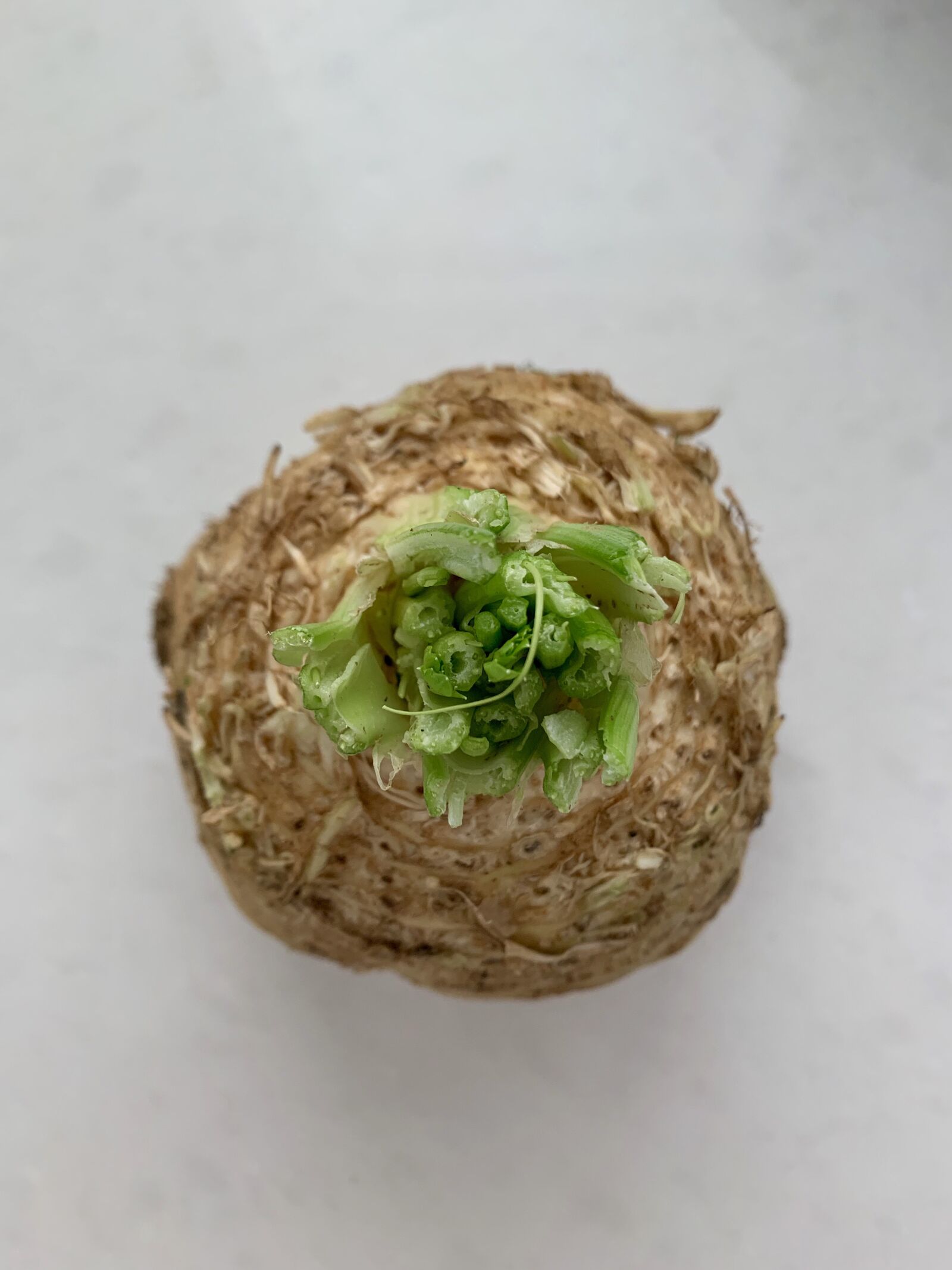 Apple iPhone XS sample photo. Celery root, health day photography