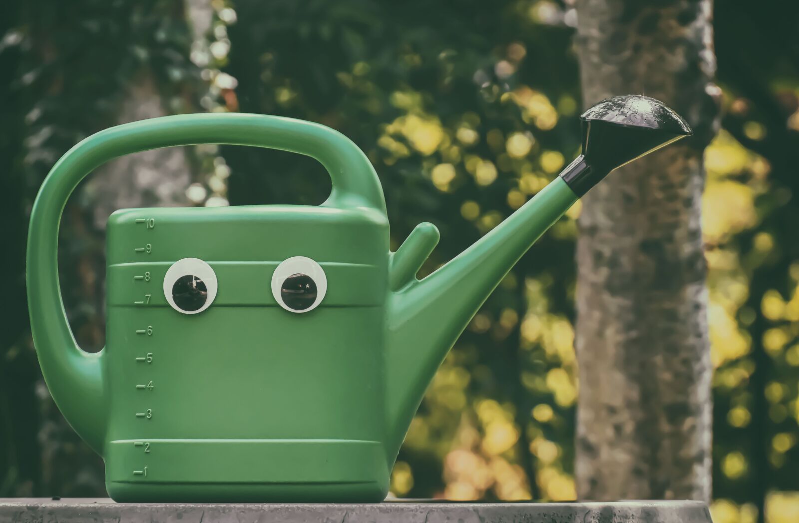 Nikon D7200 sample photo. Watering can, garden, nature photography