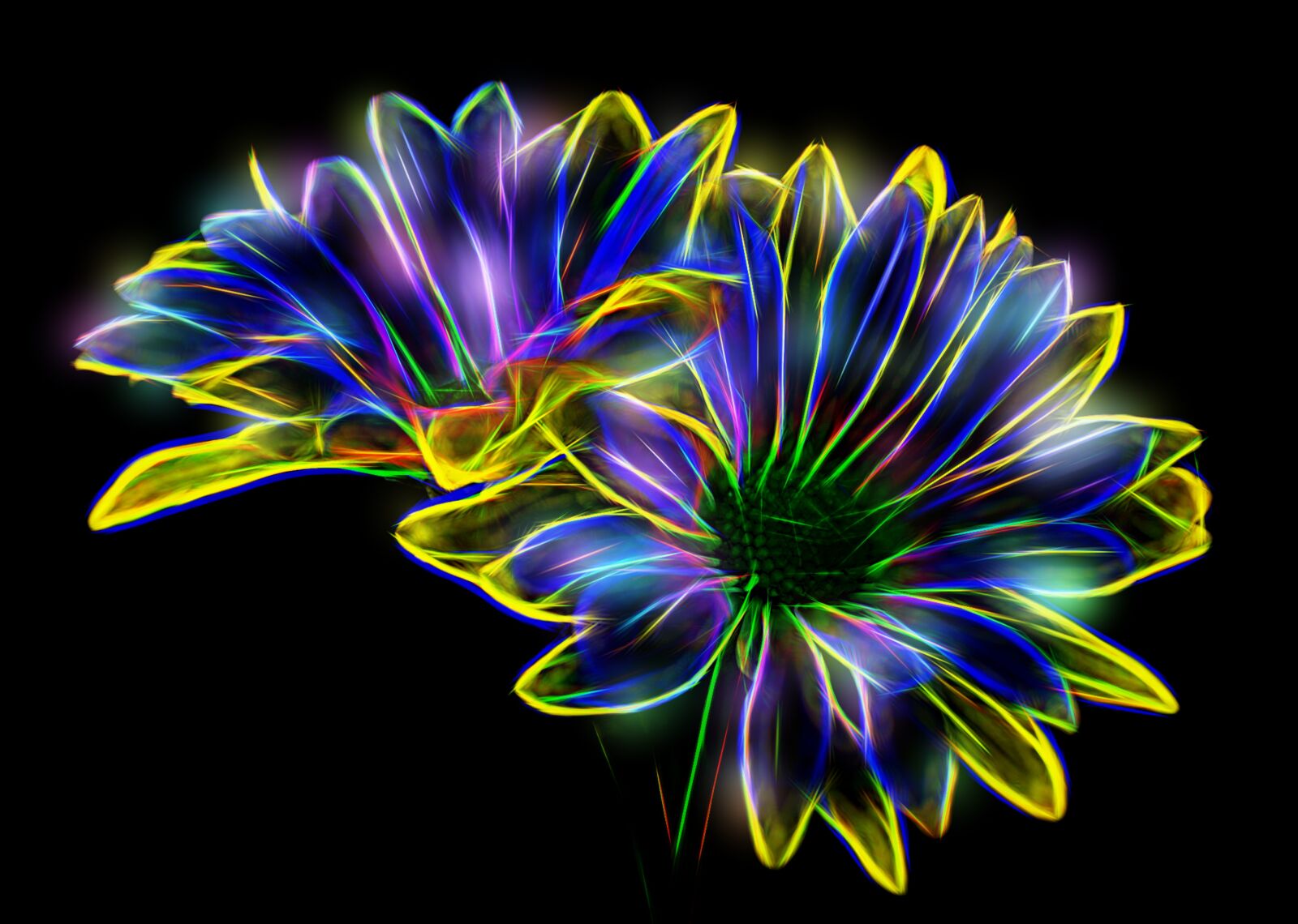 Nikon D5500 sample photo. Flower, daisy, floral photography