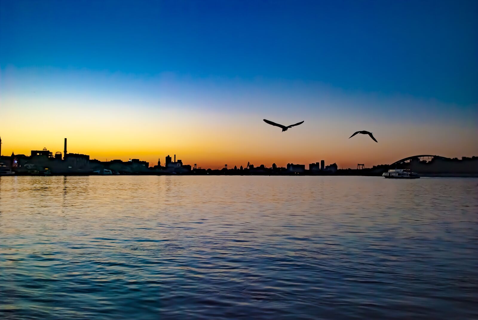 Nikon D60 sample photo. Water, sunset, bird photography