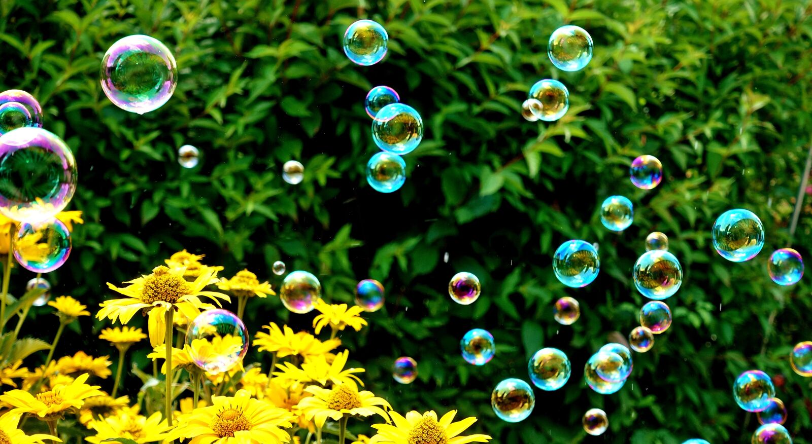 Sony DSC-RX100M5 sample photo. Soap bubbles, colorful, summer photography