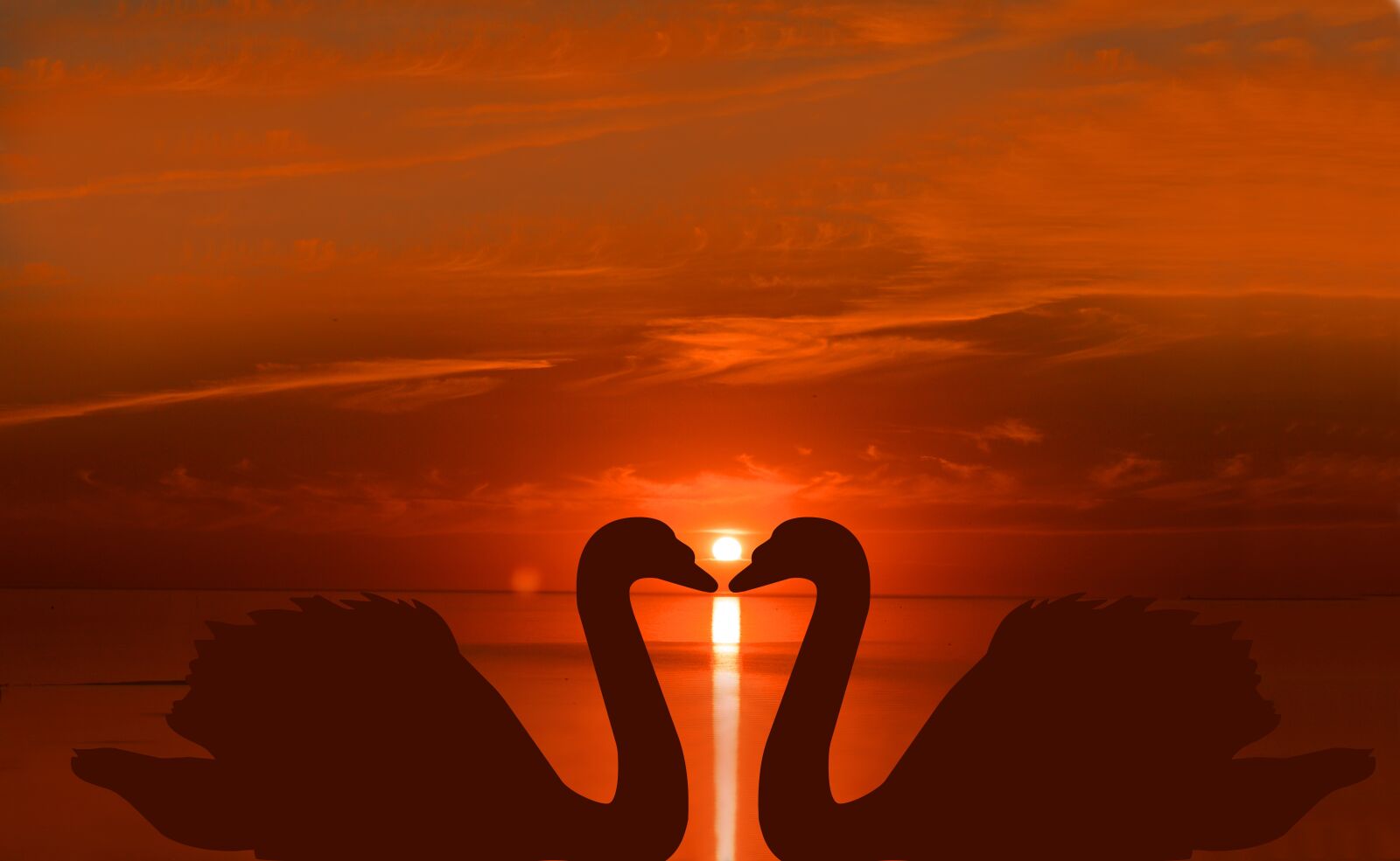 Nikon D3200 sample photo. Sunset, swans, romantic photography