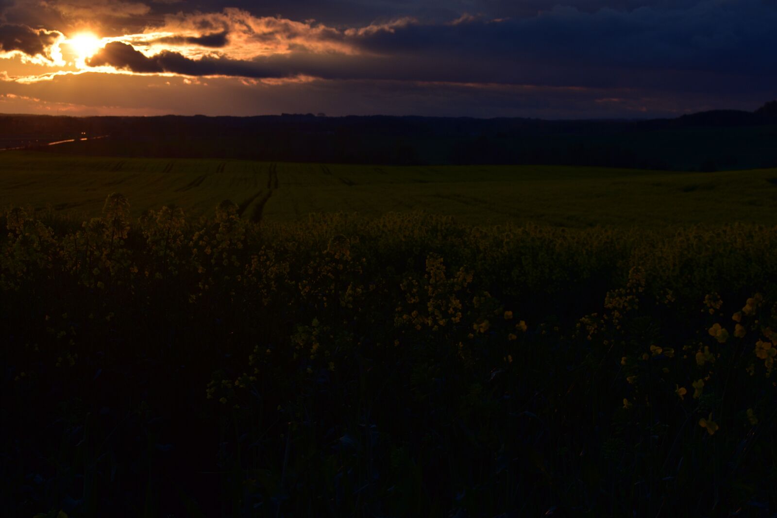 Nikon D3400 sample photo. Sunset, landscape, field photography