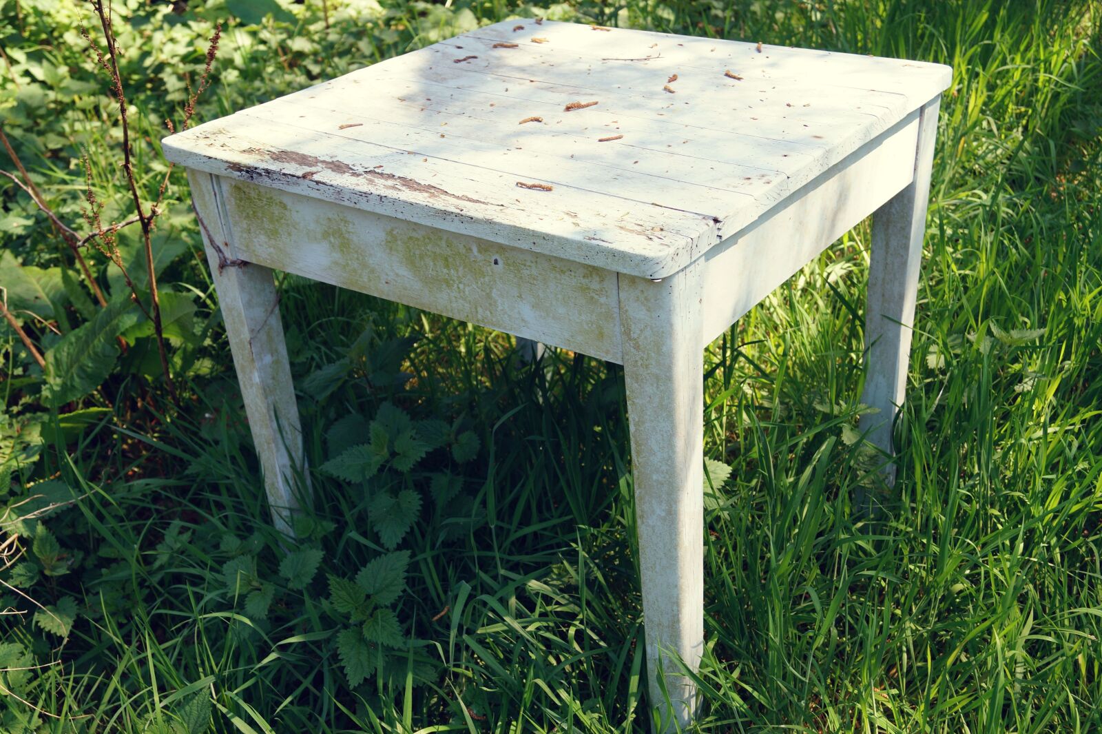 Sony DT 18-55mm F3.5-5.6 SAM II sample photo. Table, furniture pieces, old photography