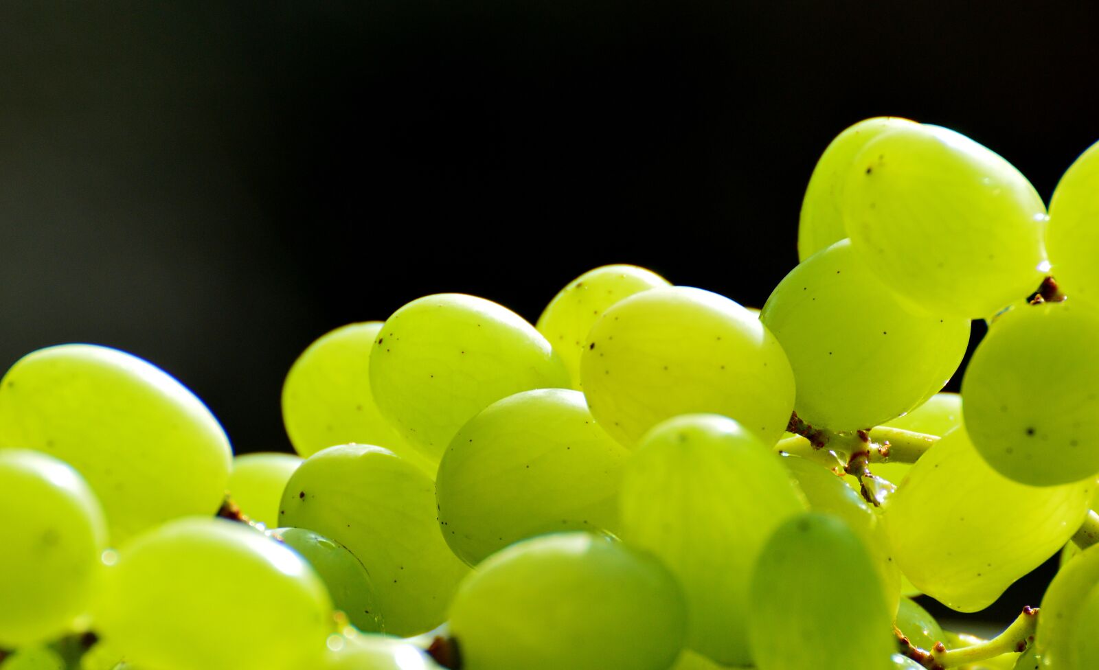 Nikon D3200 sample photo. Grapes, fruits, healthy photography