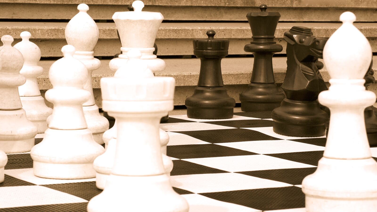 Nikon D5000 sample photo. Chess, game, intelligence photography