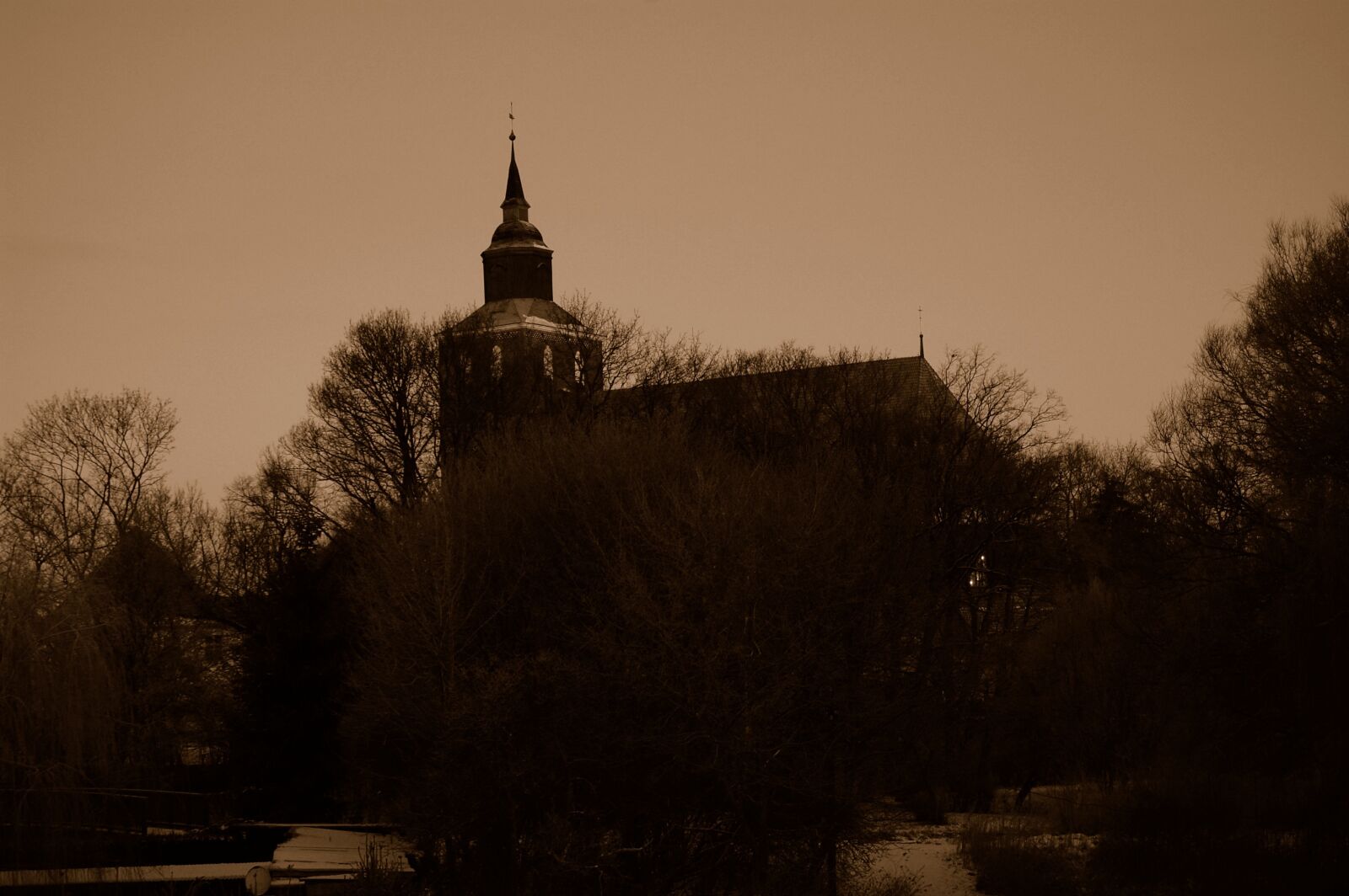 Nikon D40 sample photo. Tree, dusk, dawn photography