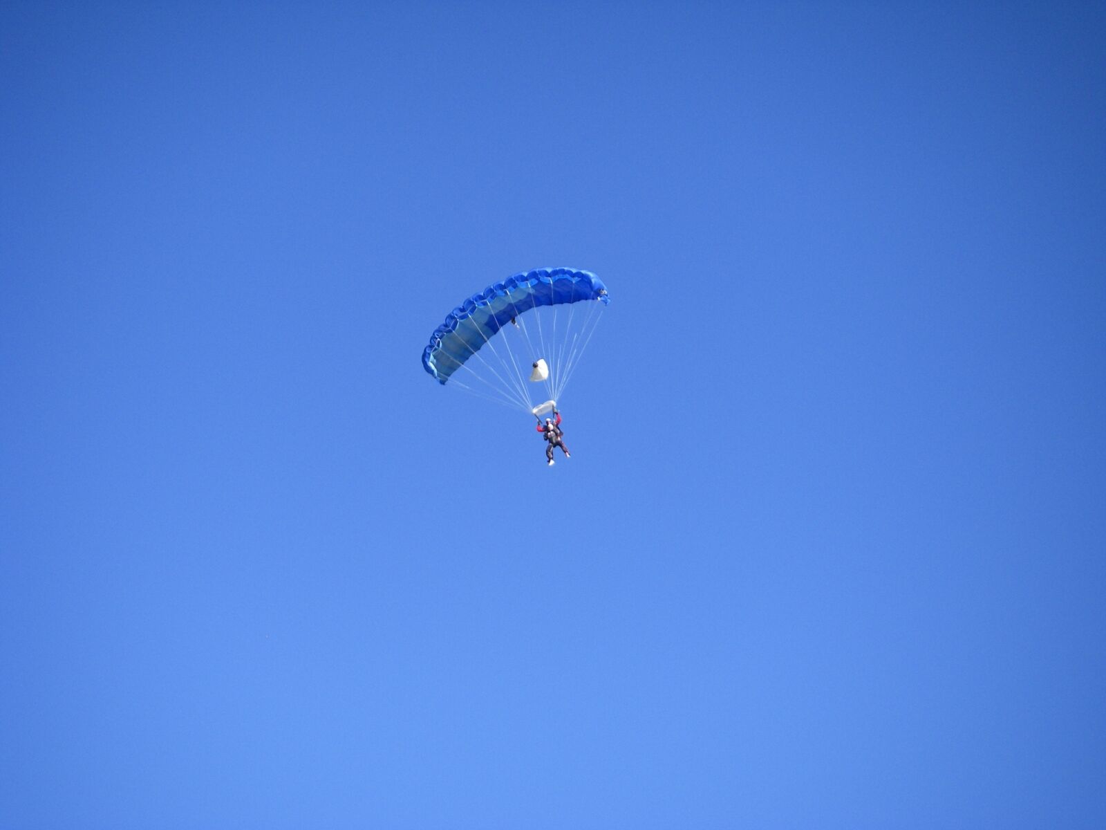 Pentax OPTIO W30 sample photo. Parachutist, blue, sky photography