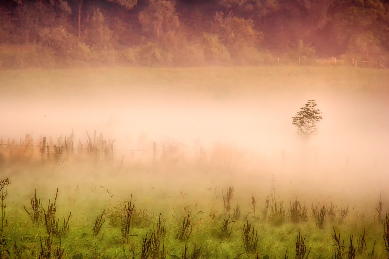 Canon EOS 60D sample photo. Landscape, nature, sunrise photography
