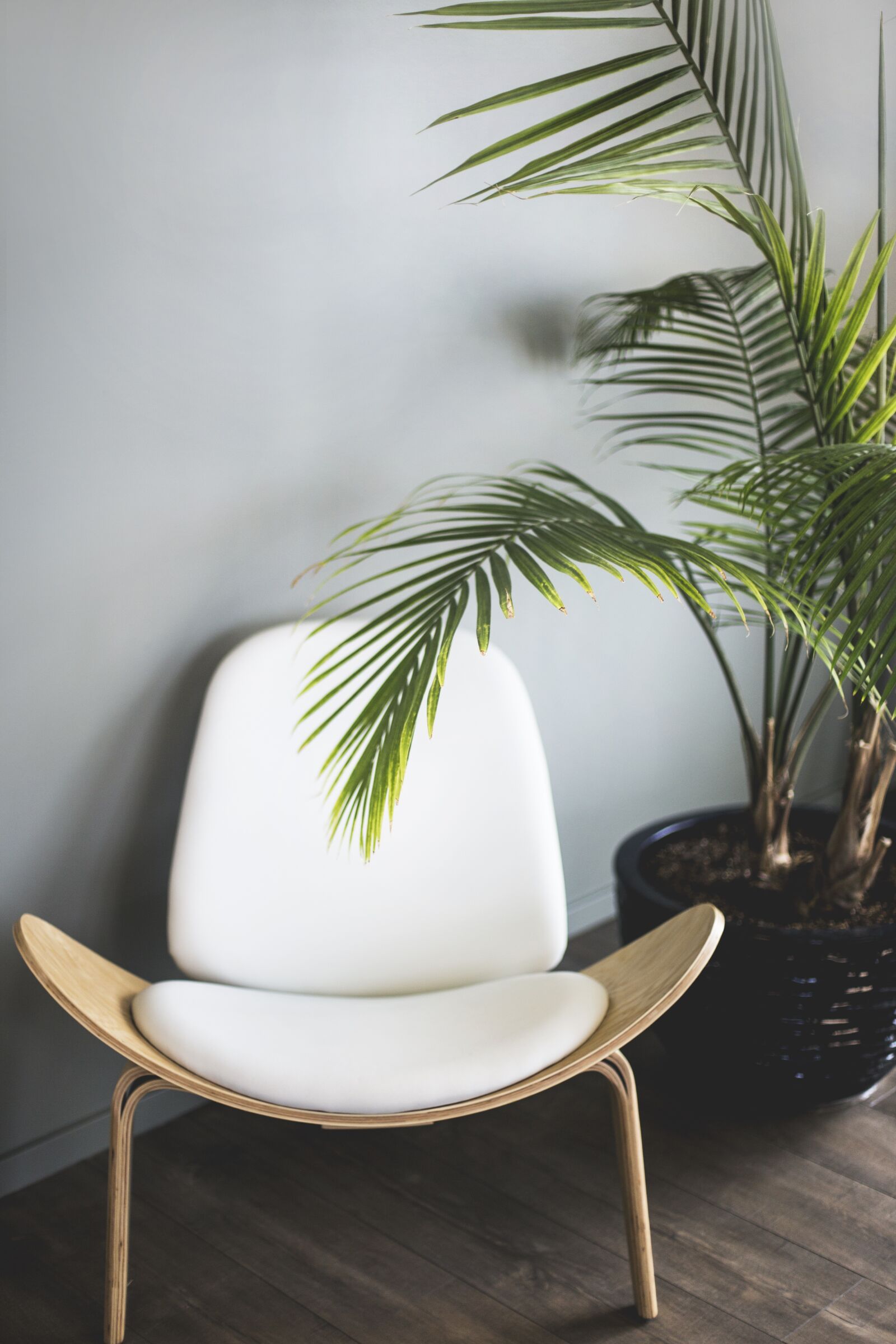 Canon EOS 6D + Canon EF 50mm F1.4 USM sample photo. Chair, plant, furniture photography