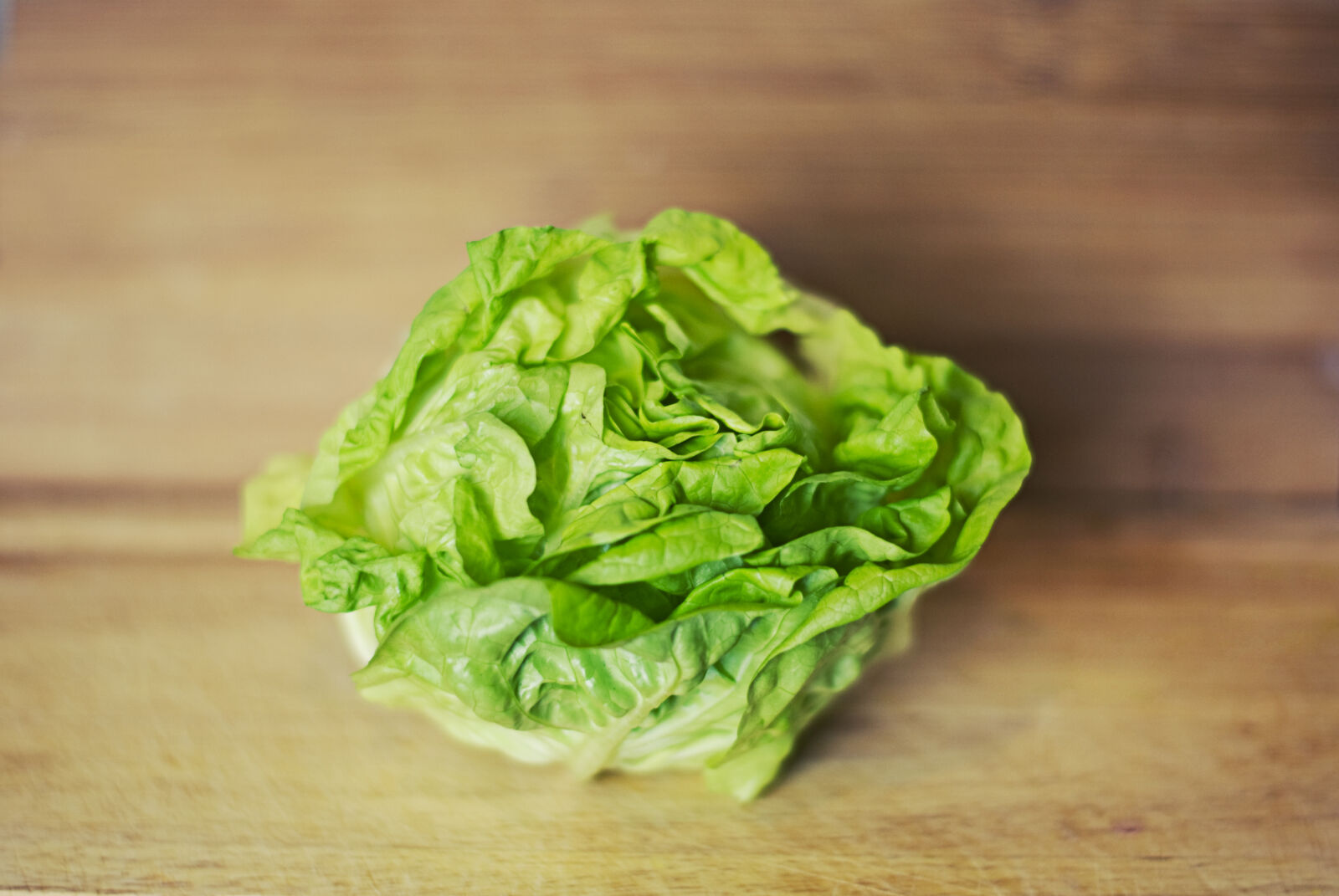 Nikon D60 sample photo. Green, healthy, lettuce, salad photography