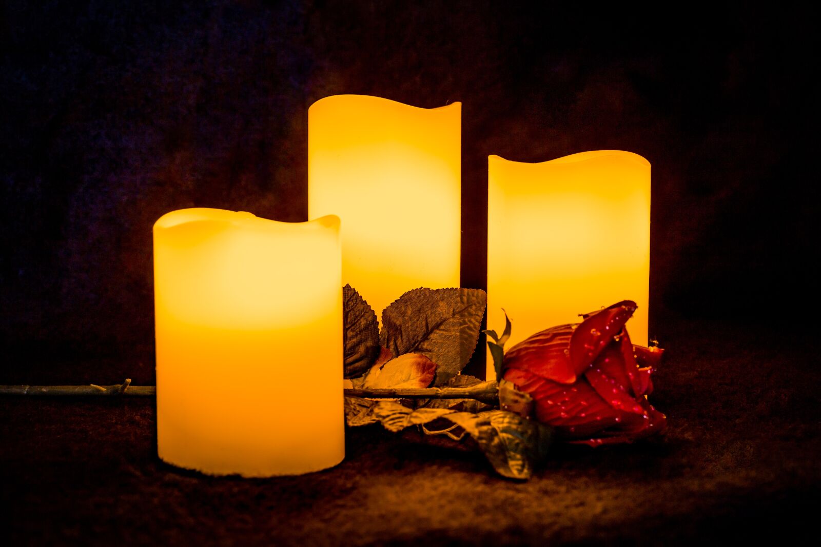 Canon EOS 6D + Canon EF 50mm F2.5 Macro sample photo. Candle, light, rose photography