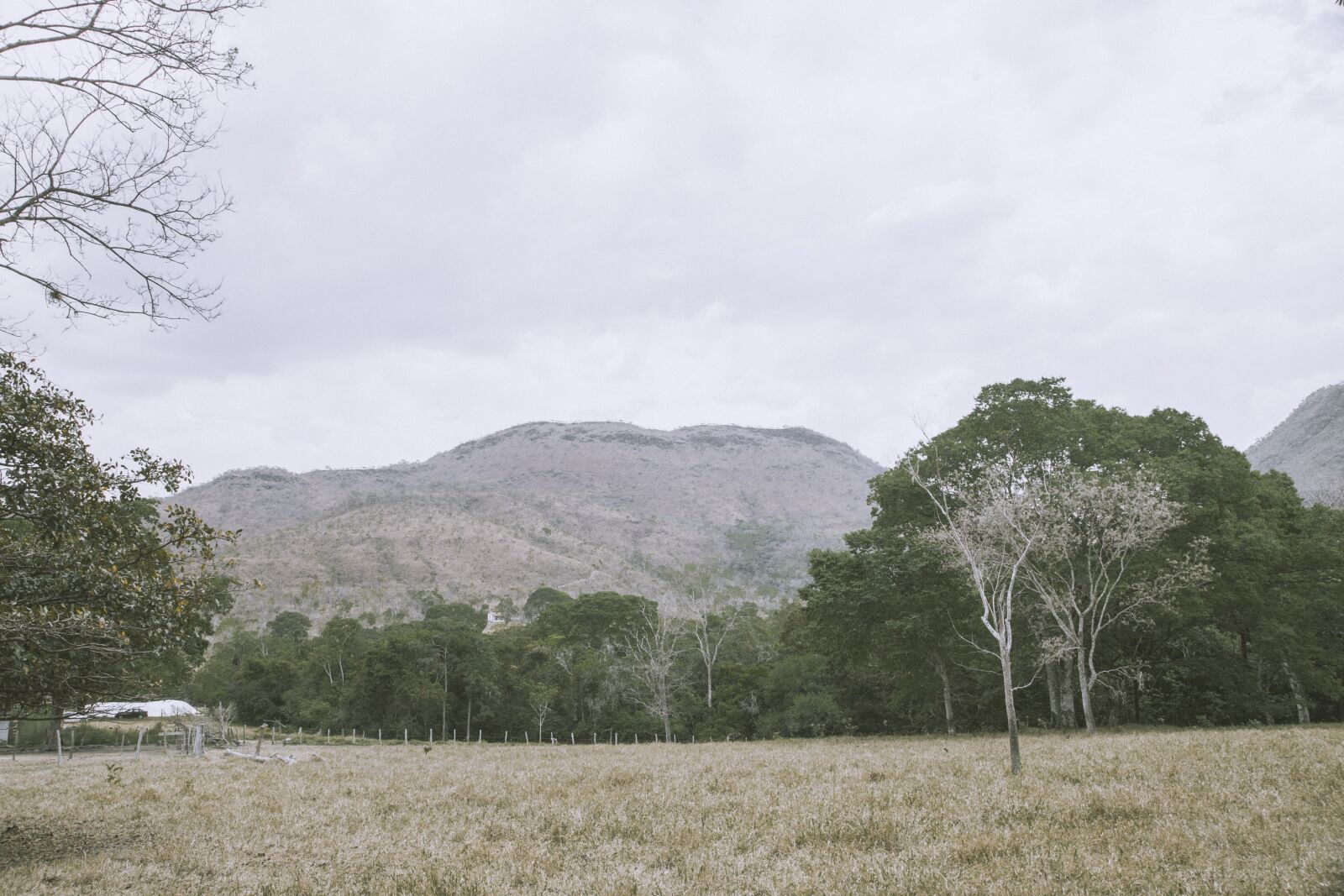 Canon EOS 6D + Canon EF 24-105mm F4L IS USM sample photo. Mountain, field, landscape photography